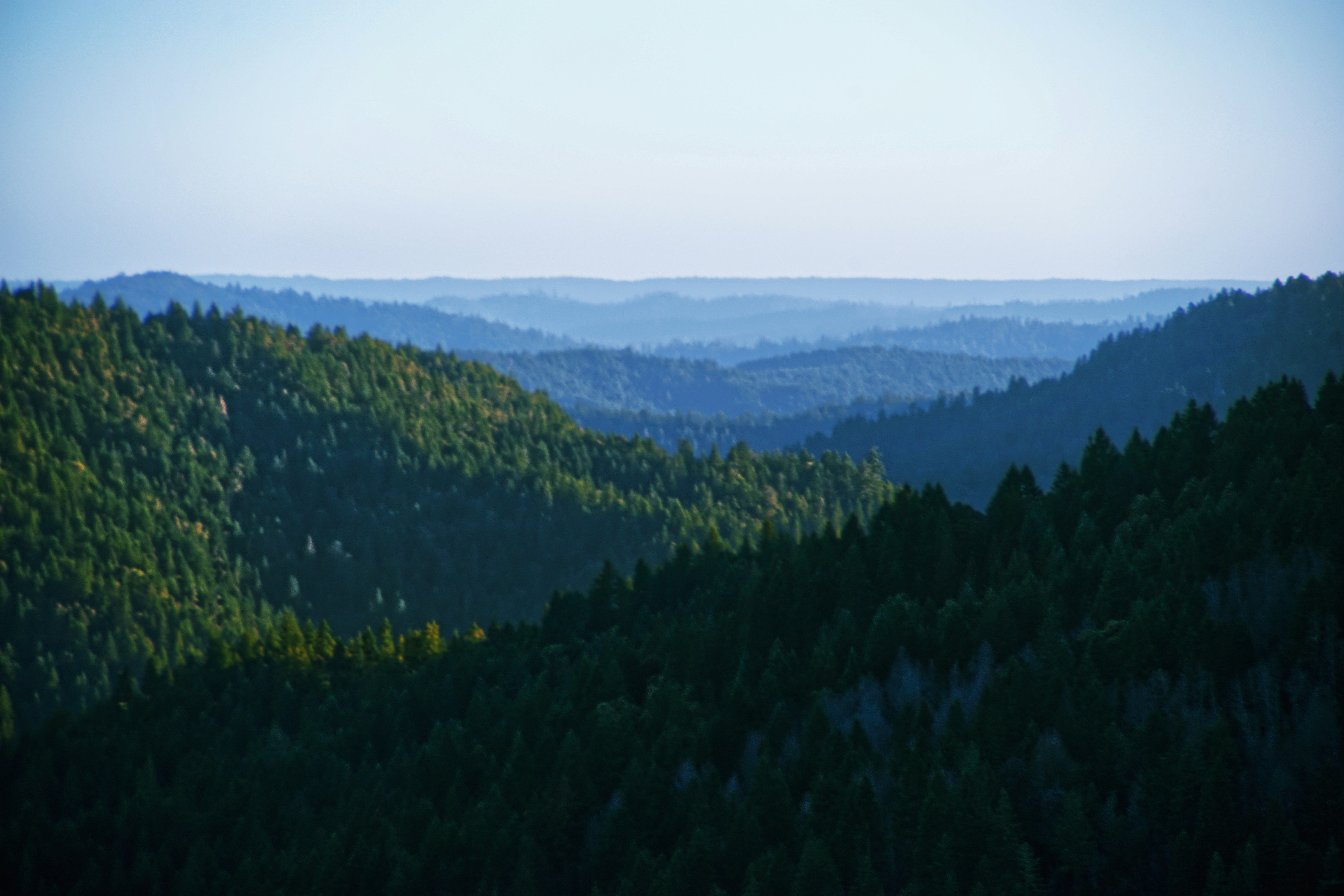 a view of a mountain range with trees in the foreground