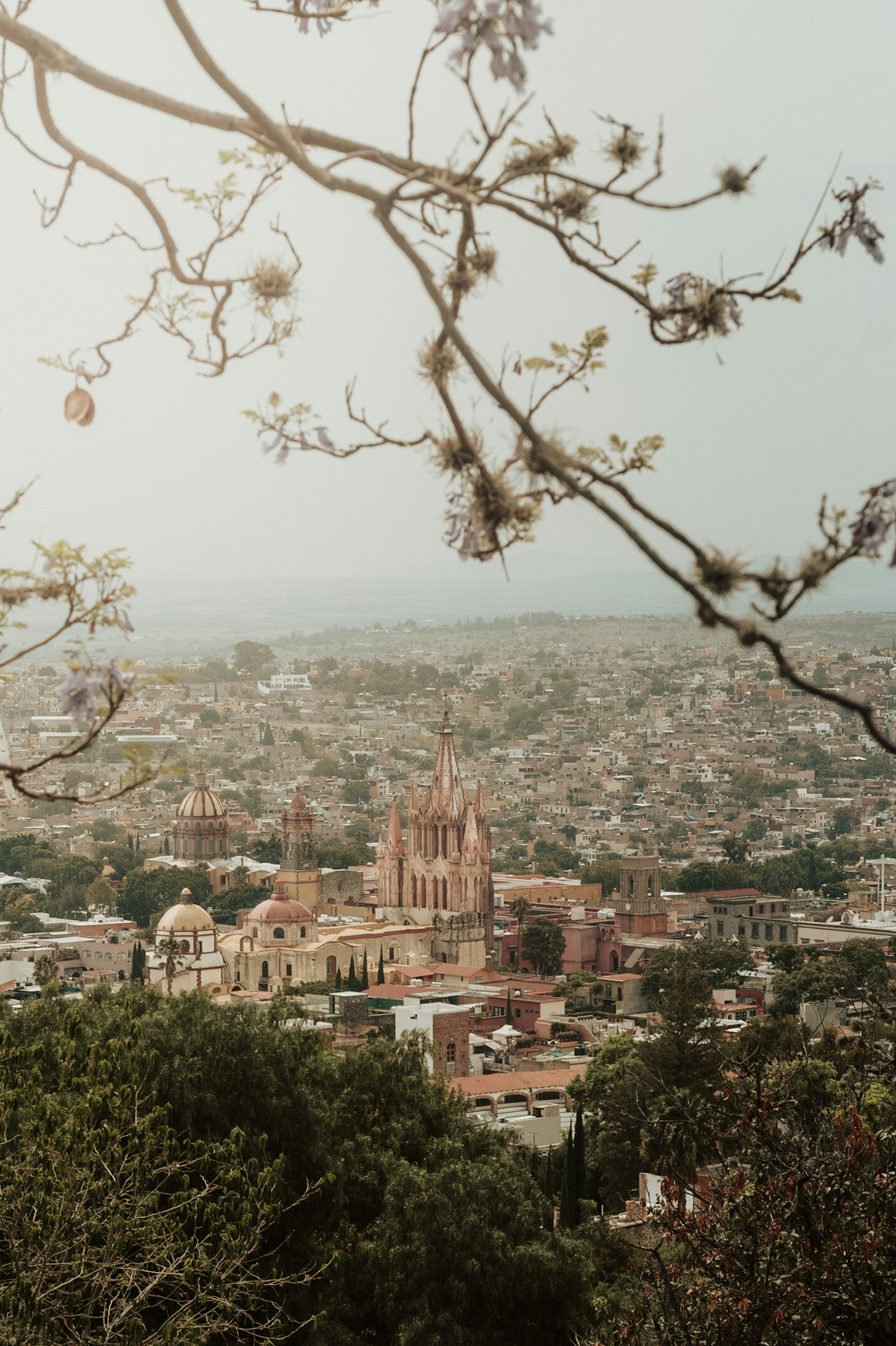 Photo by chrisluengas