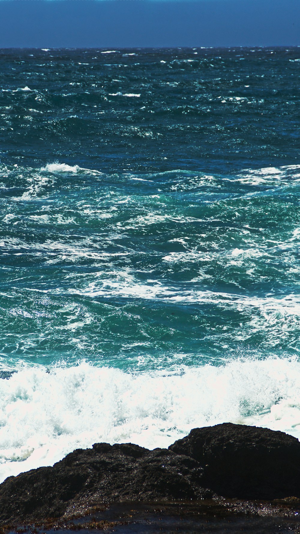 a person standing on a rock near the ocean