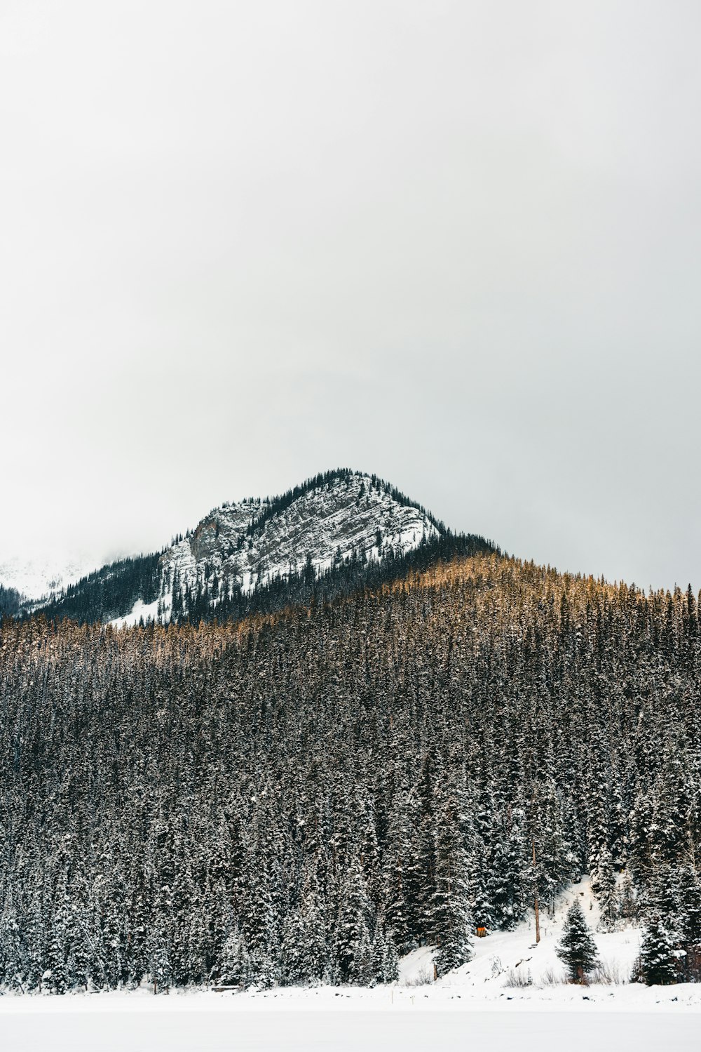 a mountain covered in snow with trees in the foreground