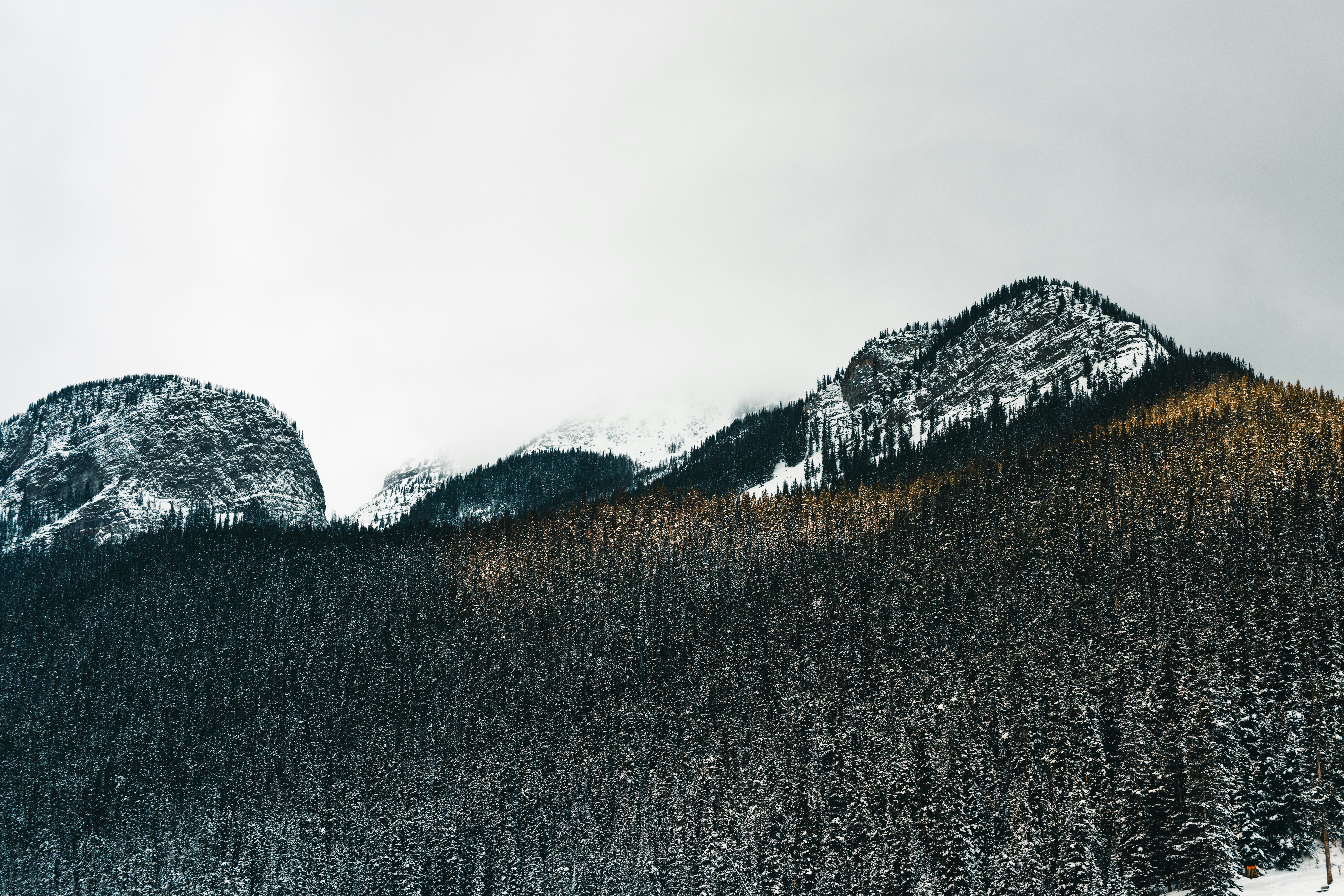 Photo by lureofadventure