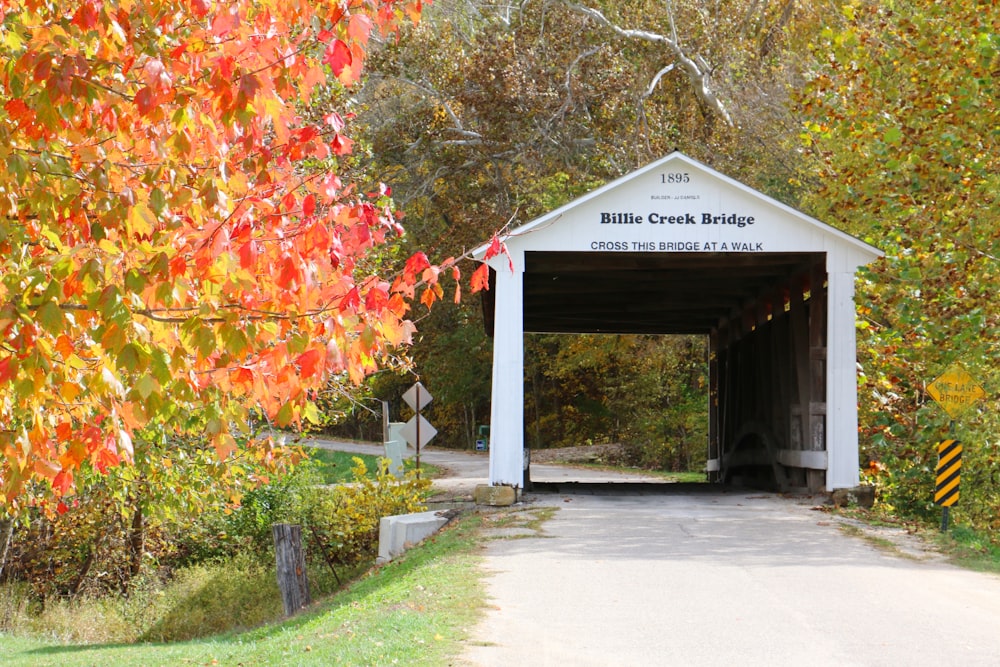 a covered bridge in the middle of a forest