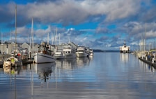 Marina with boats docked along the pier and calm water reflections.