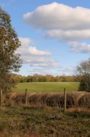A pastoral landscape features an expansive meadow stretching into the distance, bordered by a line of trees with autumn foliage. A wooden fence runs parallel to a roll of hay in the foreground. The sky is dotted with large, fluffy clouds against a backdrop of blue.