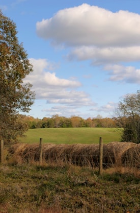 A pastoral landscape features an expansive meadow stretching into the distance, bordered by a line of trees with autumn foliage. A wooden fence runs parallel to a roll of hay in the foreground. The sky is dotted with large, fluffy clouds against a backdrop of blue.