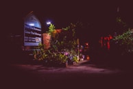 A dimly lit outdoor area with a sign for a restaurant and massage place visible on the left. The sign is illuminated in the dark, surrounded by plants and foliage. The background includes low light and shadows, with hints of reddish lights or decorations.
