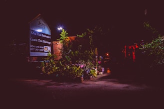 A dimly lit outdoor area with a sign for a restaurant and massage place visible on the left. The sign is illuminated in the dark, surrounded by plants and foliage. The background includes low light and shadows, with hints of reddish lights or decorations.