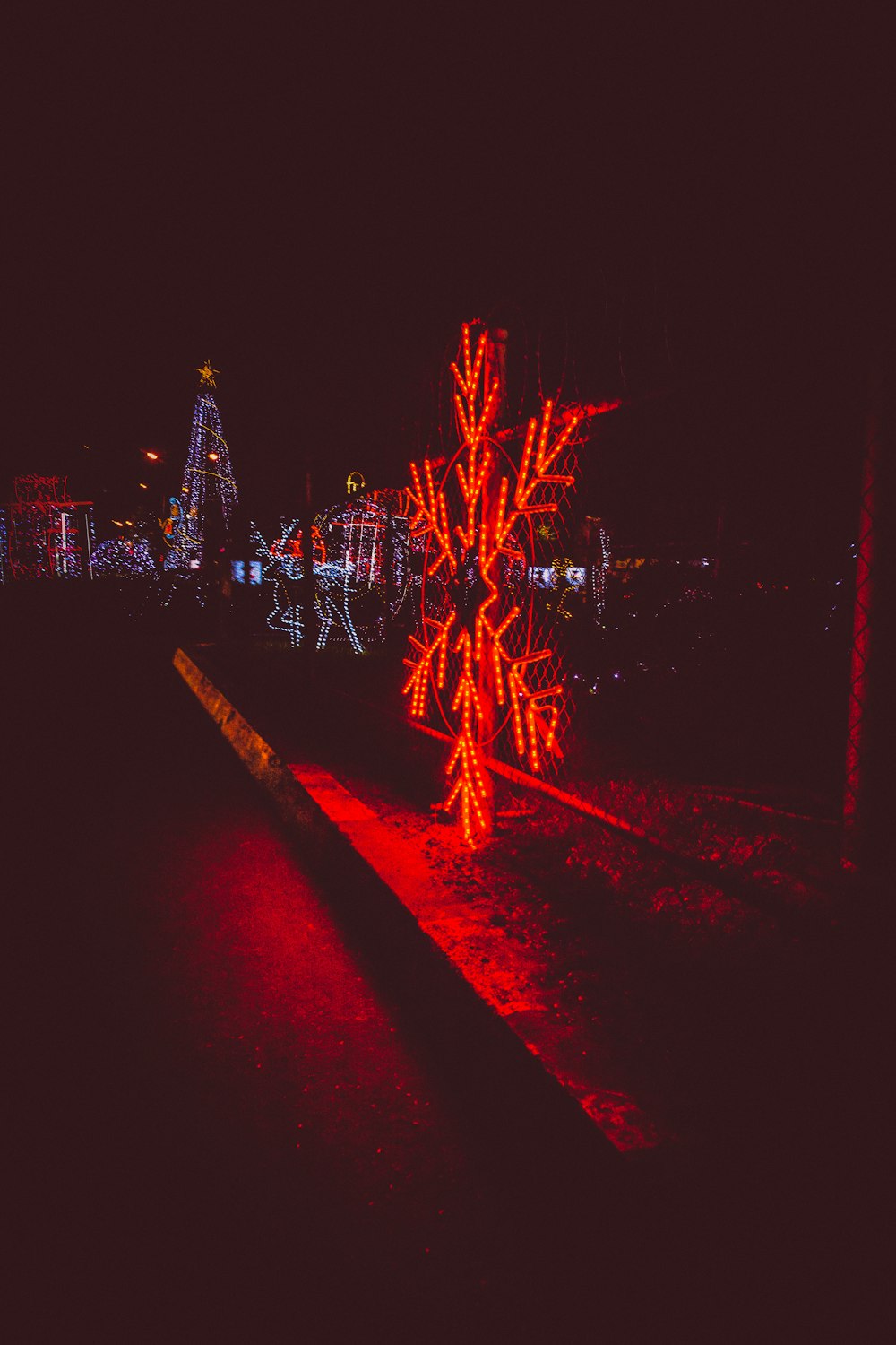 a lighted tree in the middle of a park at night