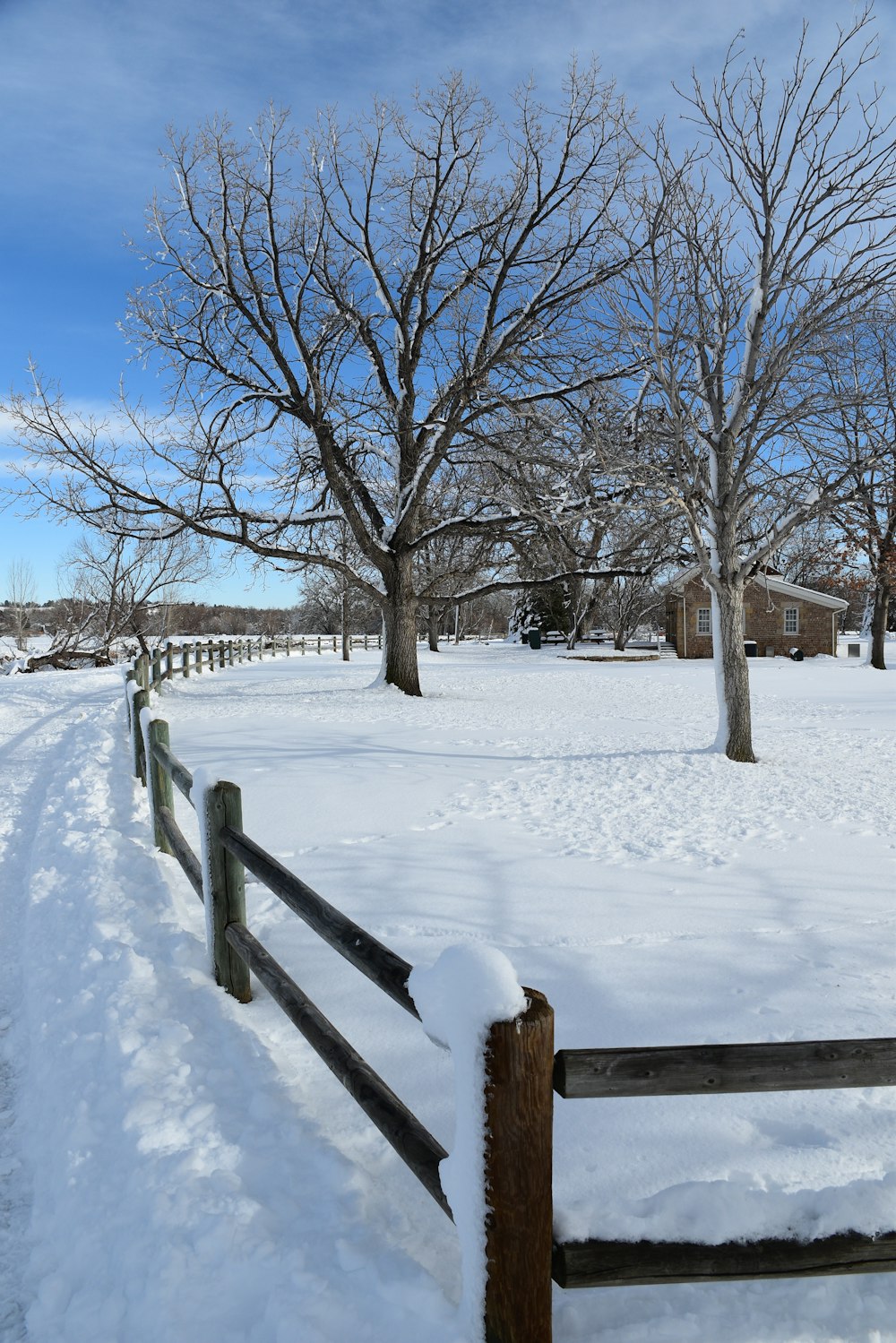 a snow covered field with a fence and trees