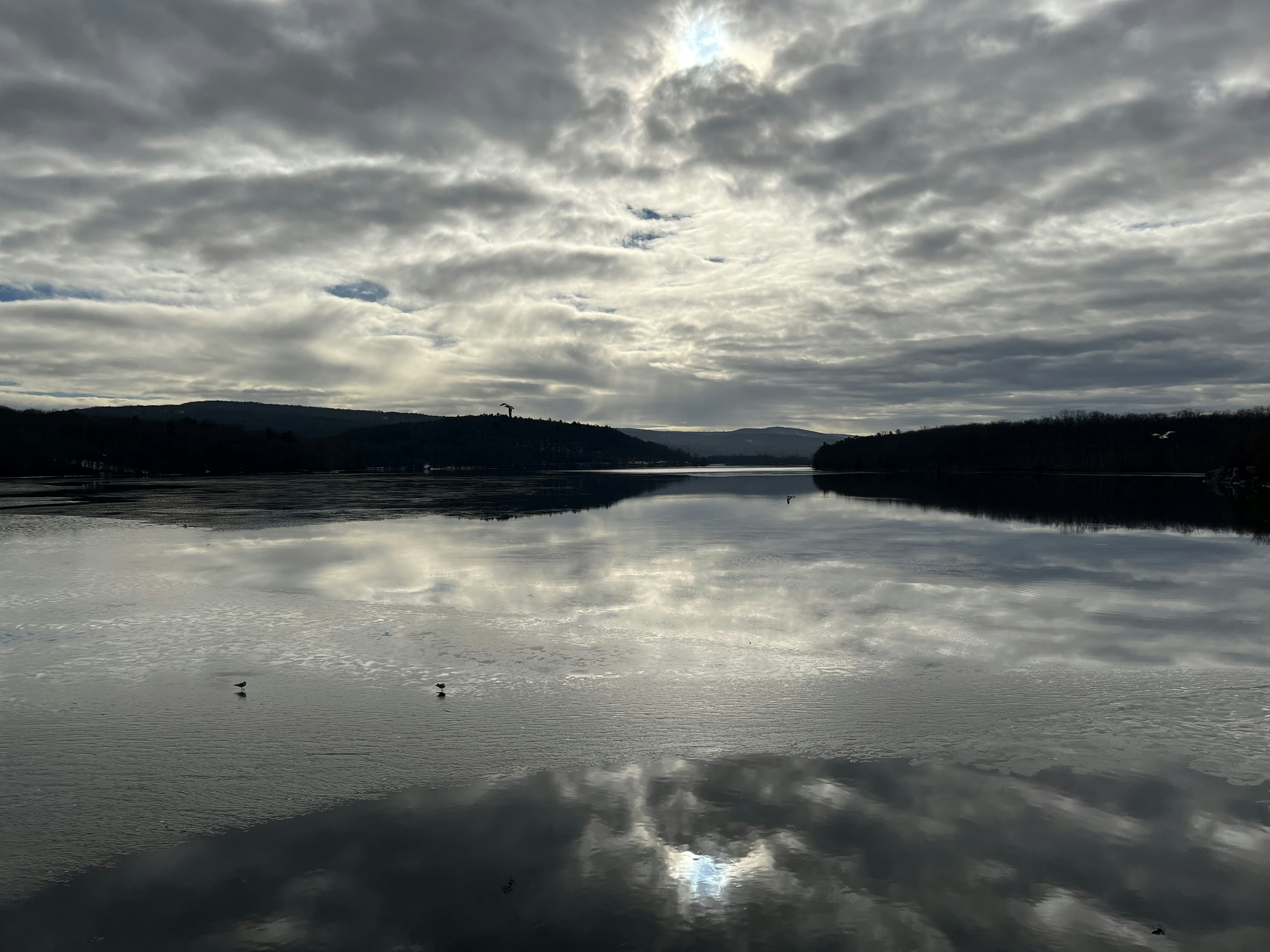 Photo by zucchiniiking