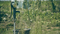 a well in the middle of a field of tall grass