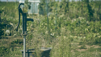a well in the middle of a field of tall grass