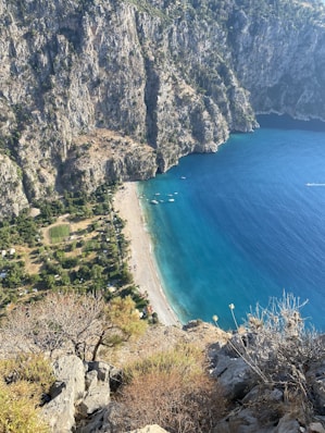 a view of a beach from a cliff