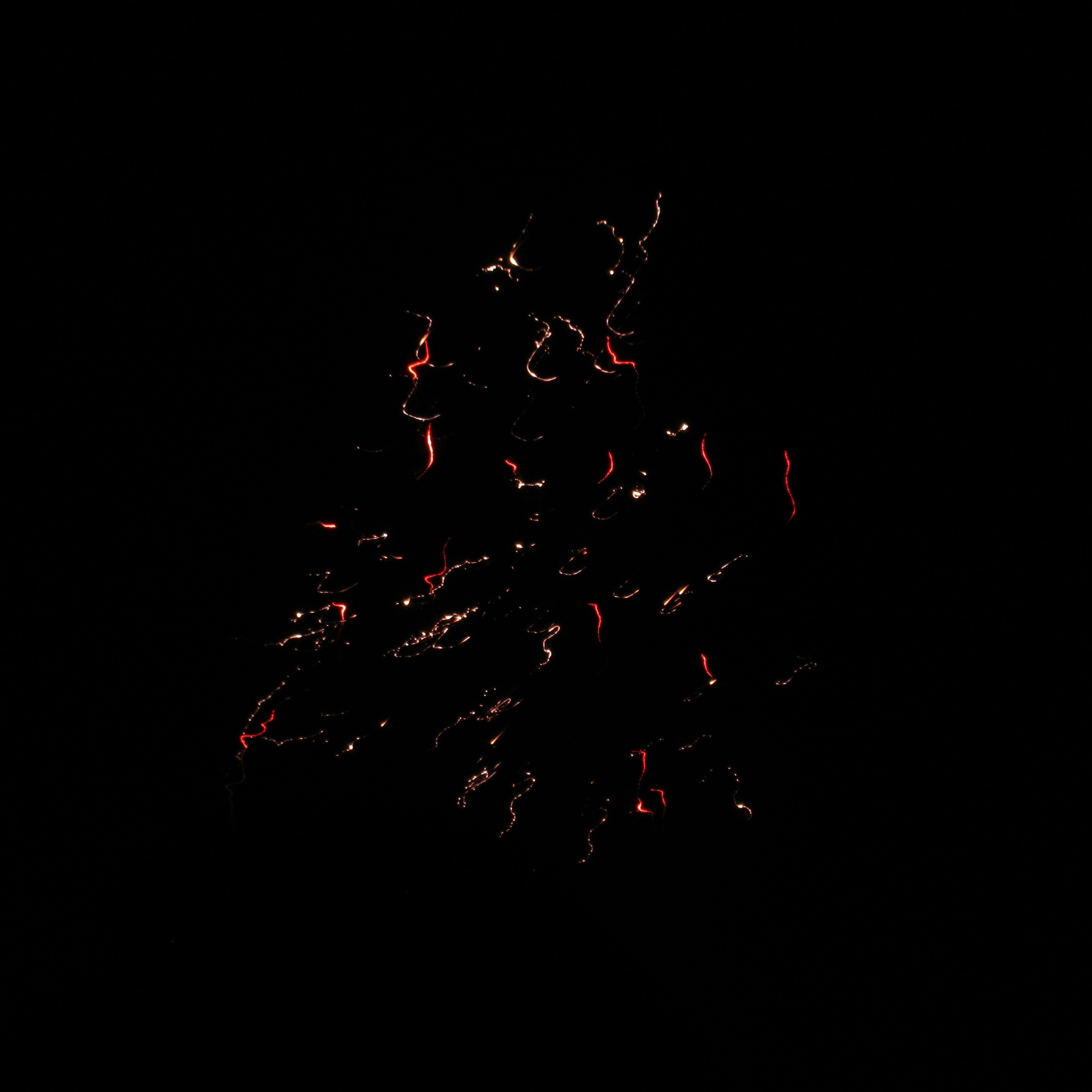 Photo by sreeram_adithya