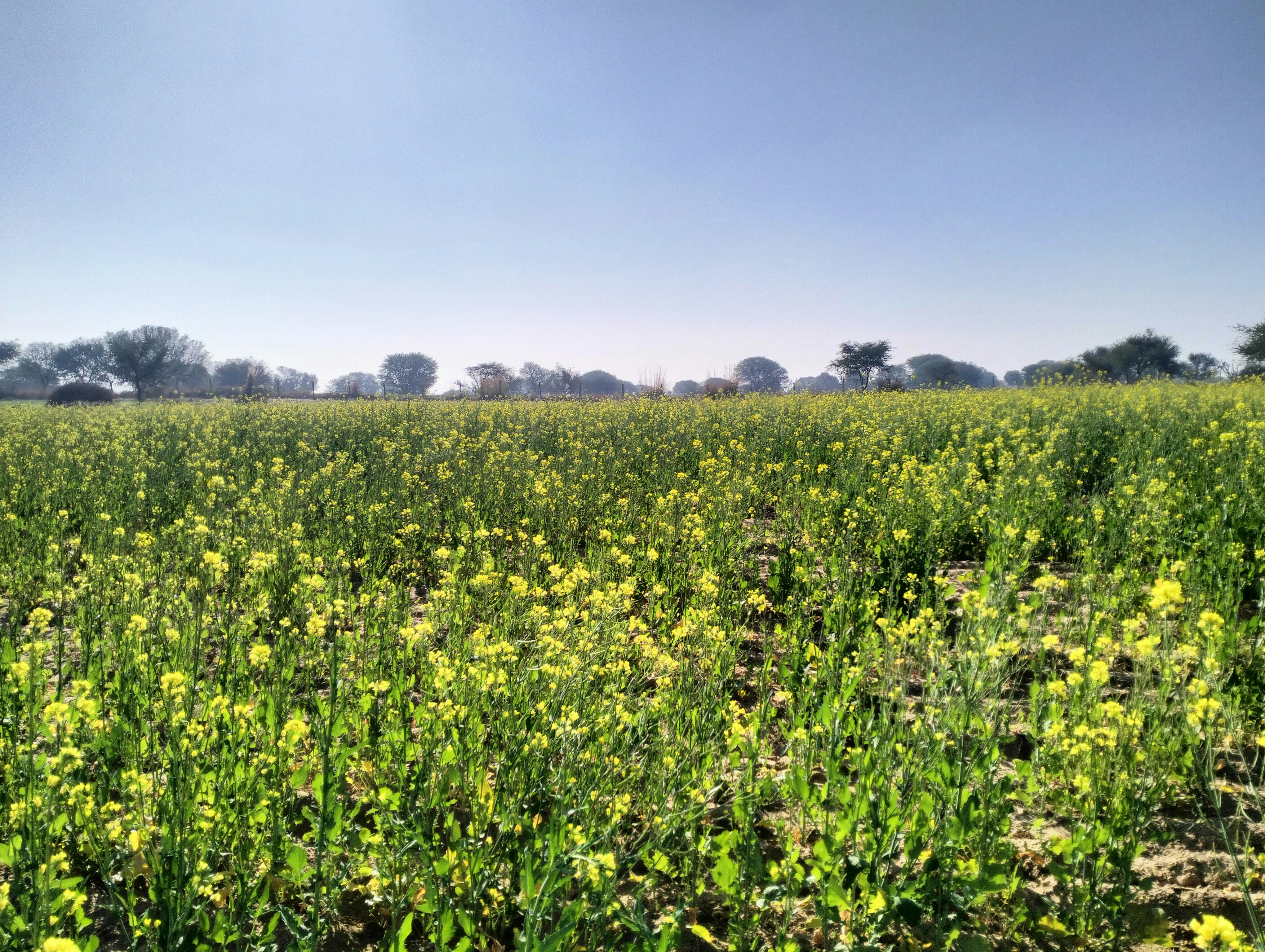 Photo by choudharyji7375