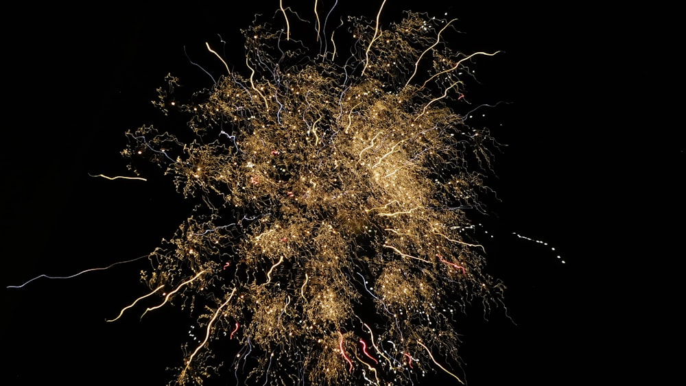 a fireworks is lit up in the night sky