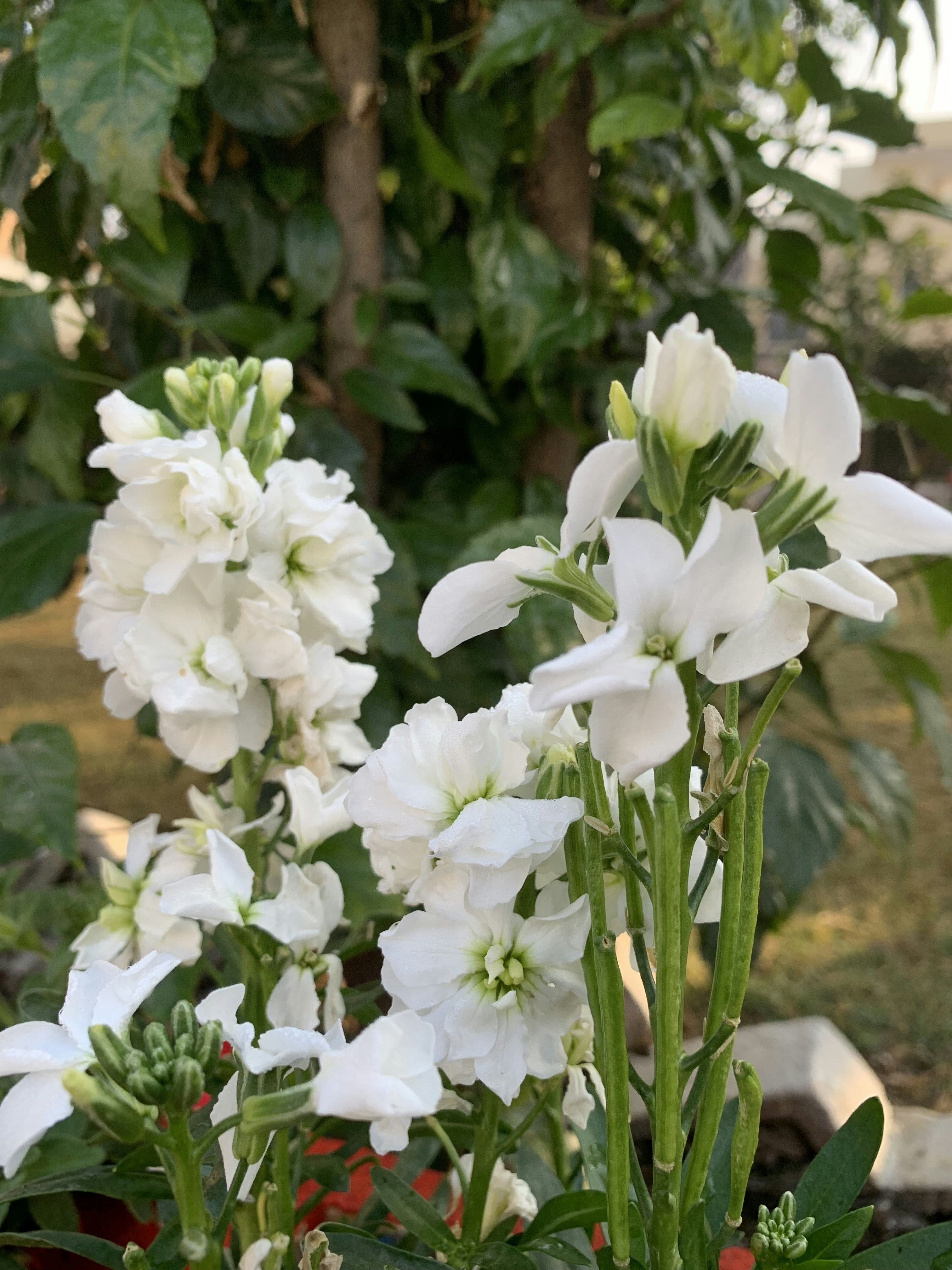 Photo by parikshit74