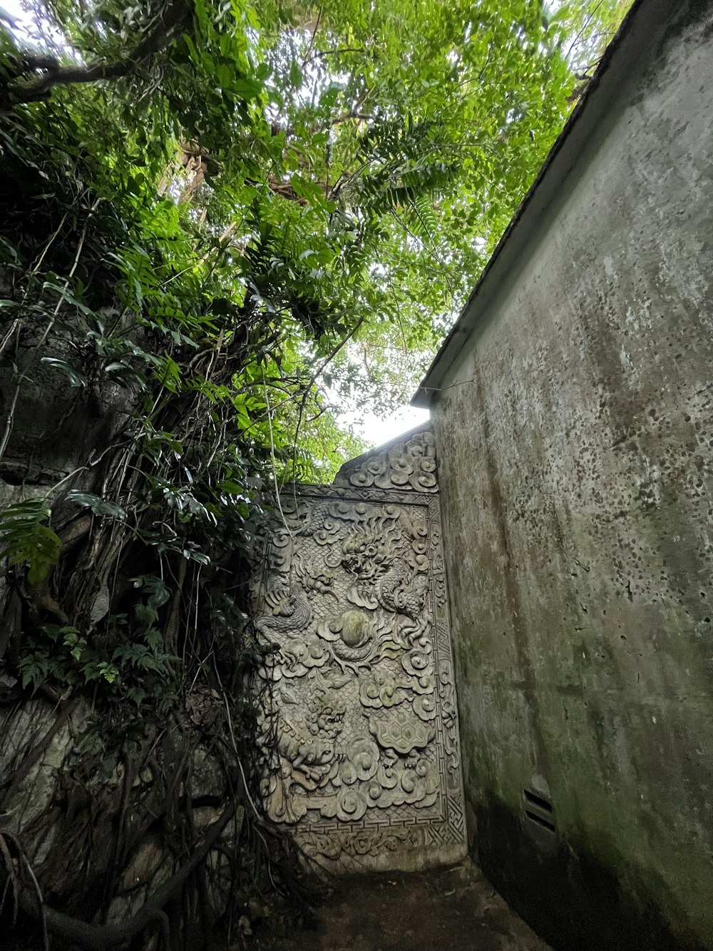 a stone wall with vines growing on it