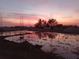 Civil engineer reviewing structural plans at a construction site during sunset.