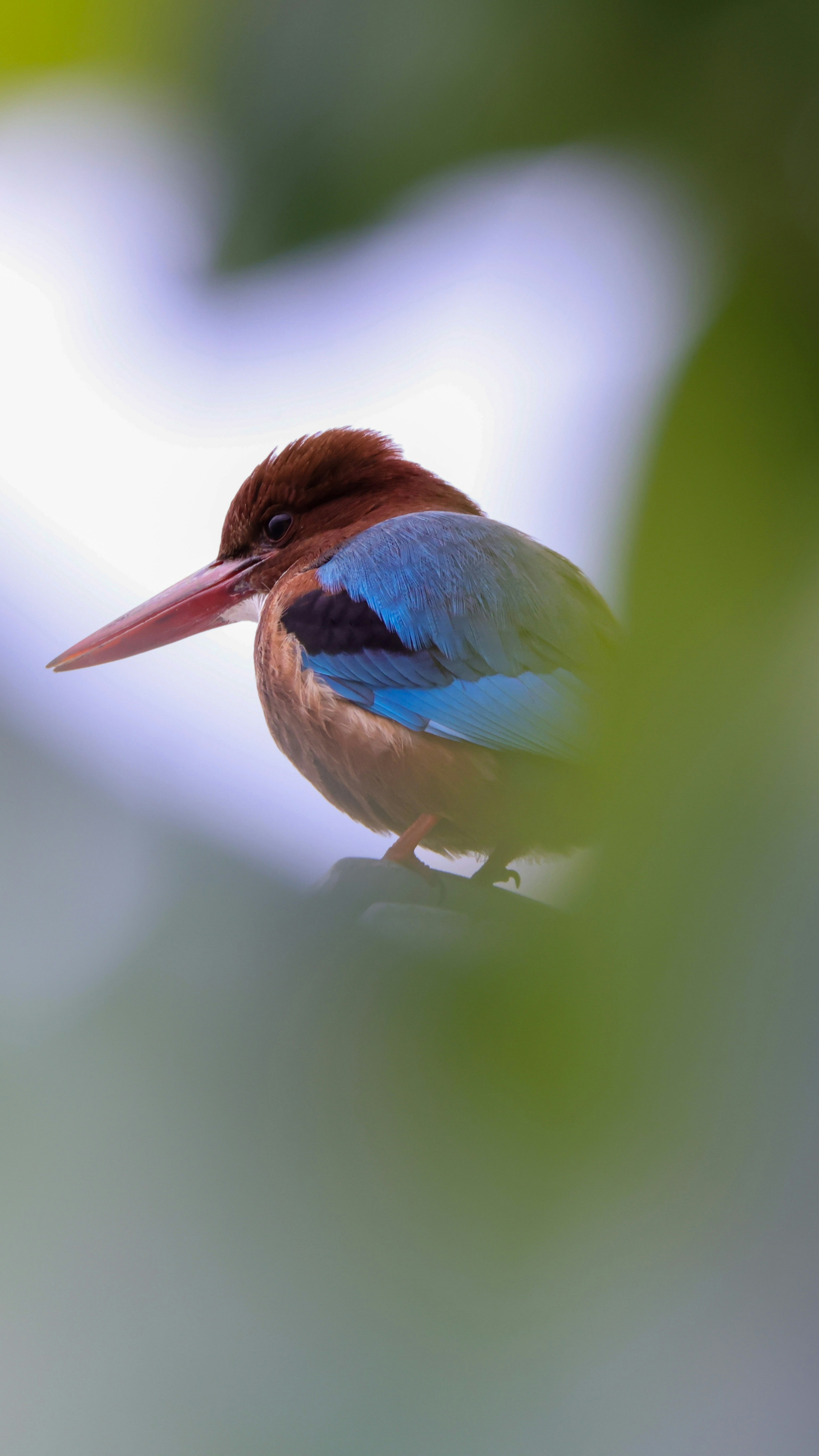 Photo by dickenslin76