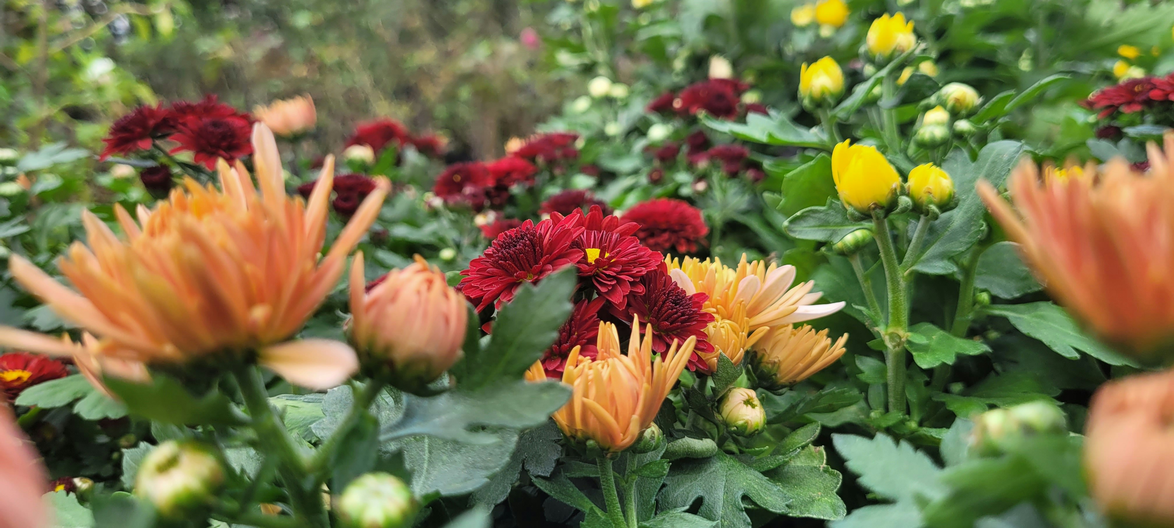 Photo by bhutanandme
