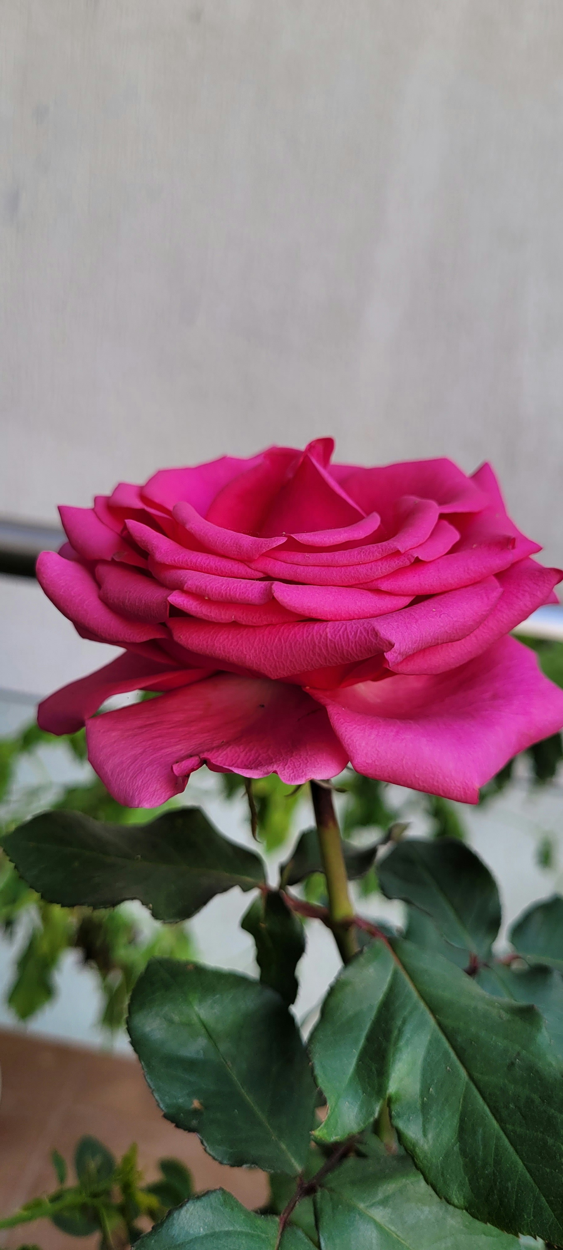 Photo by bhutanandme