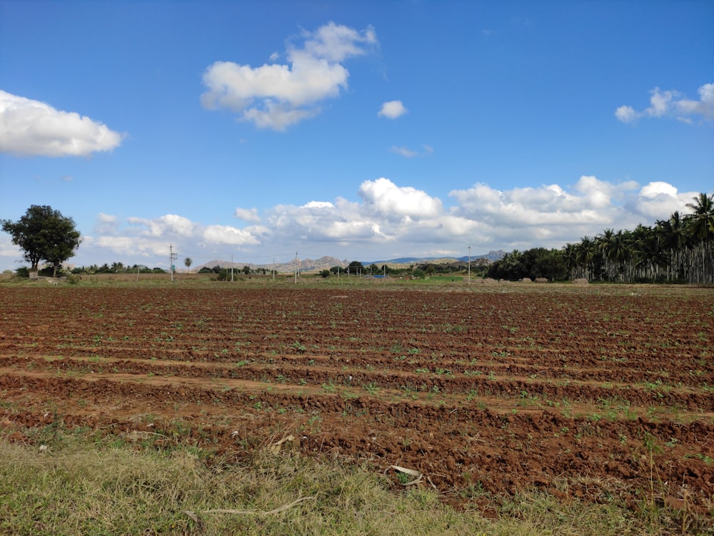 a plowed field with trees in the background