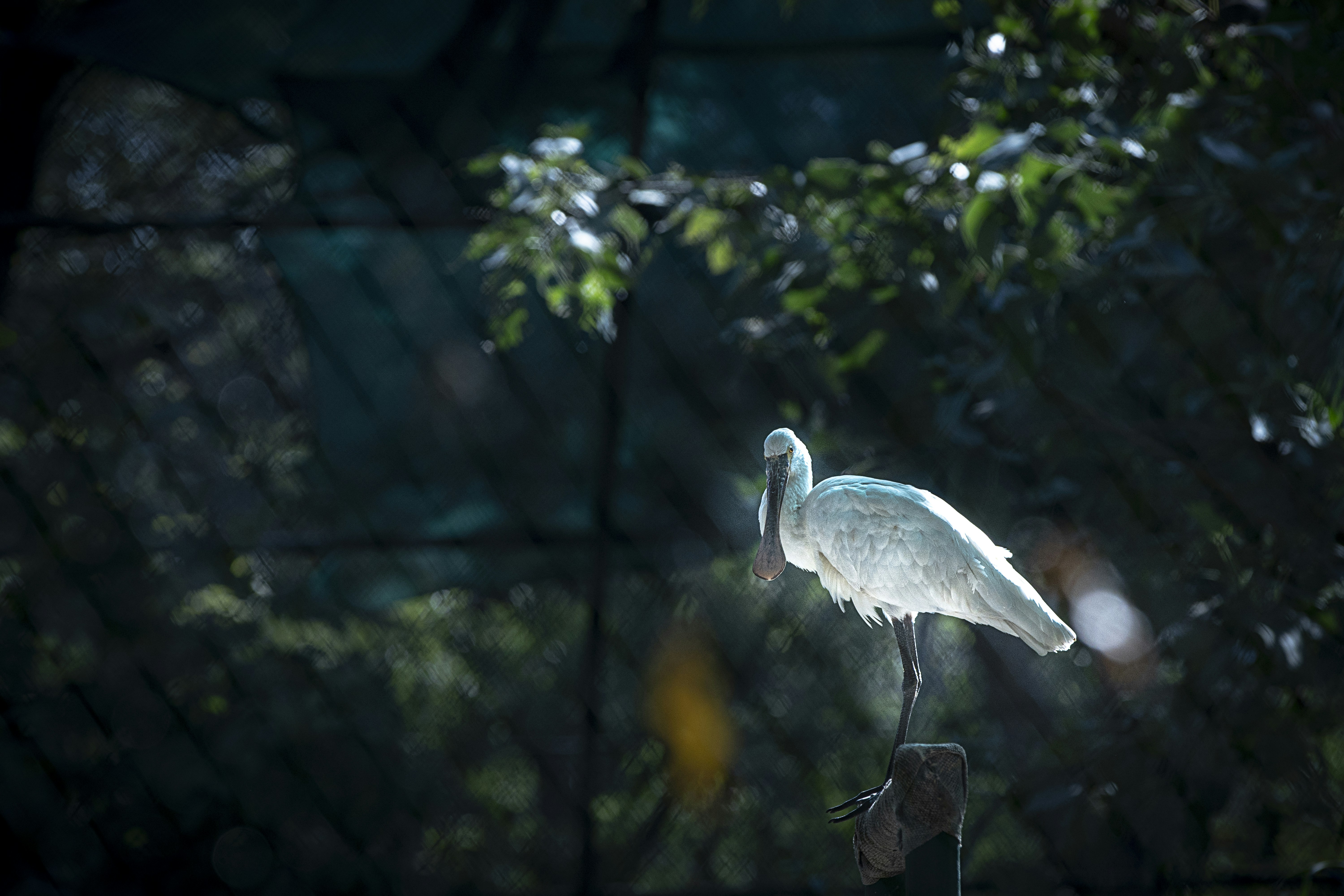 Photo by nareshstudio