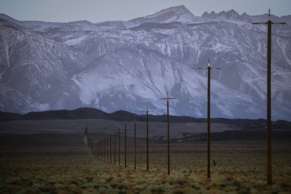 a snowy mountain range with telephone poles in the foreground