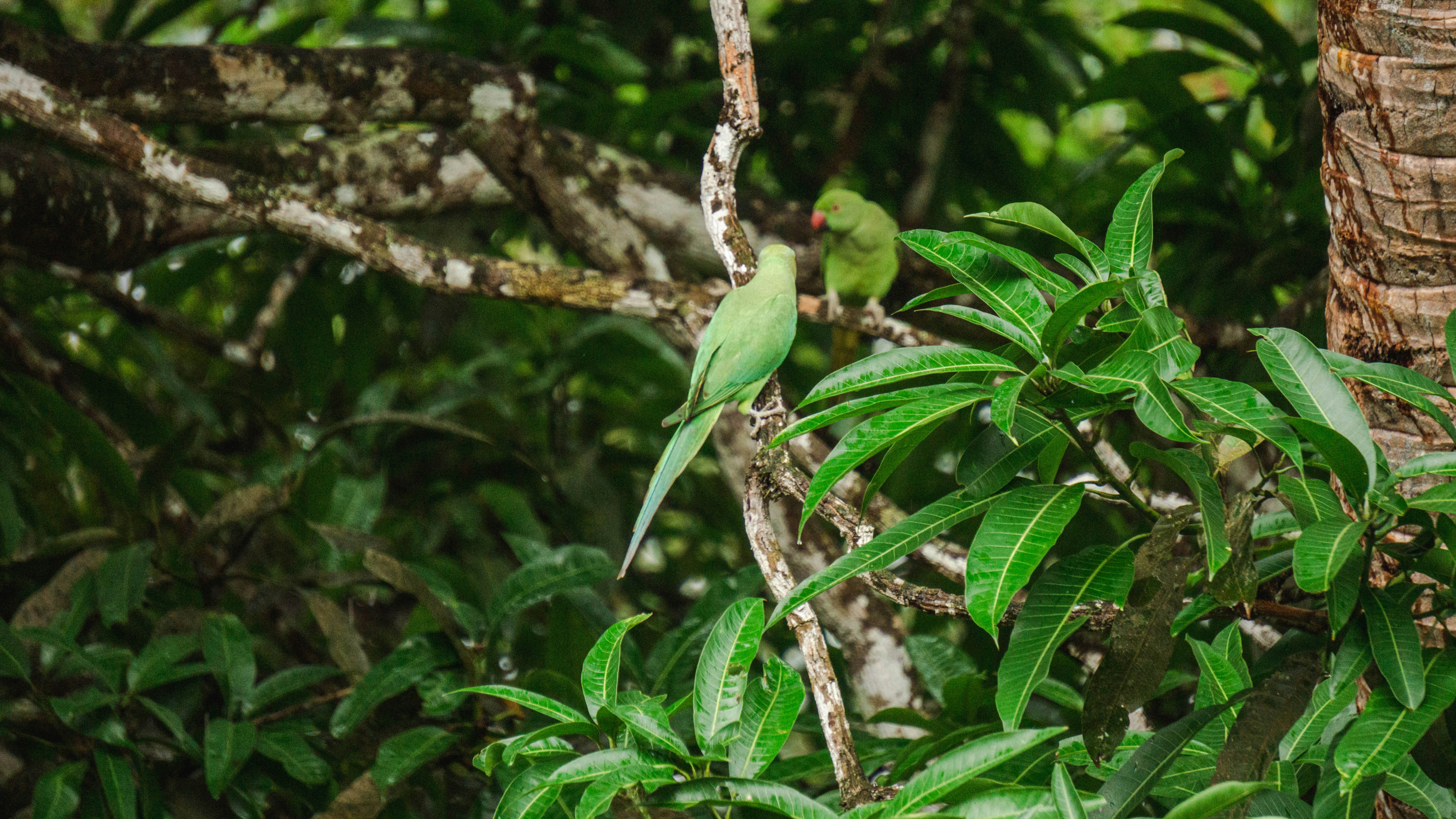 Photo by anainsomnia