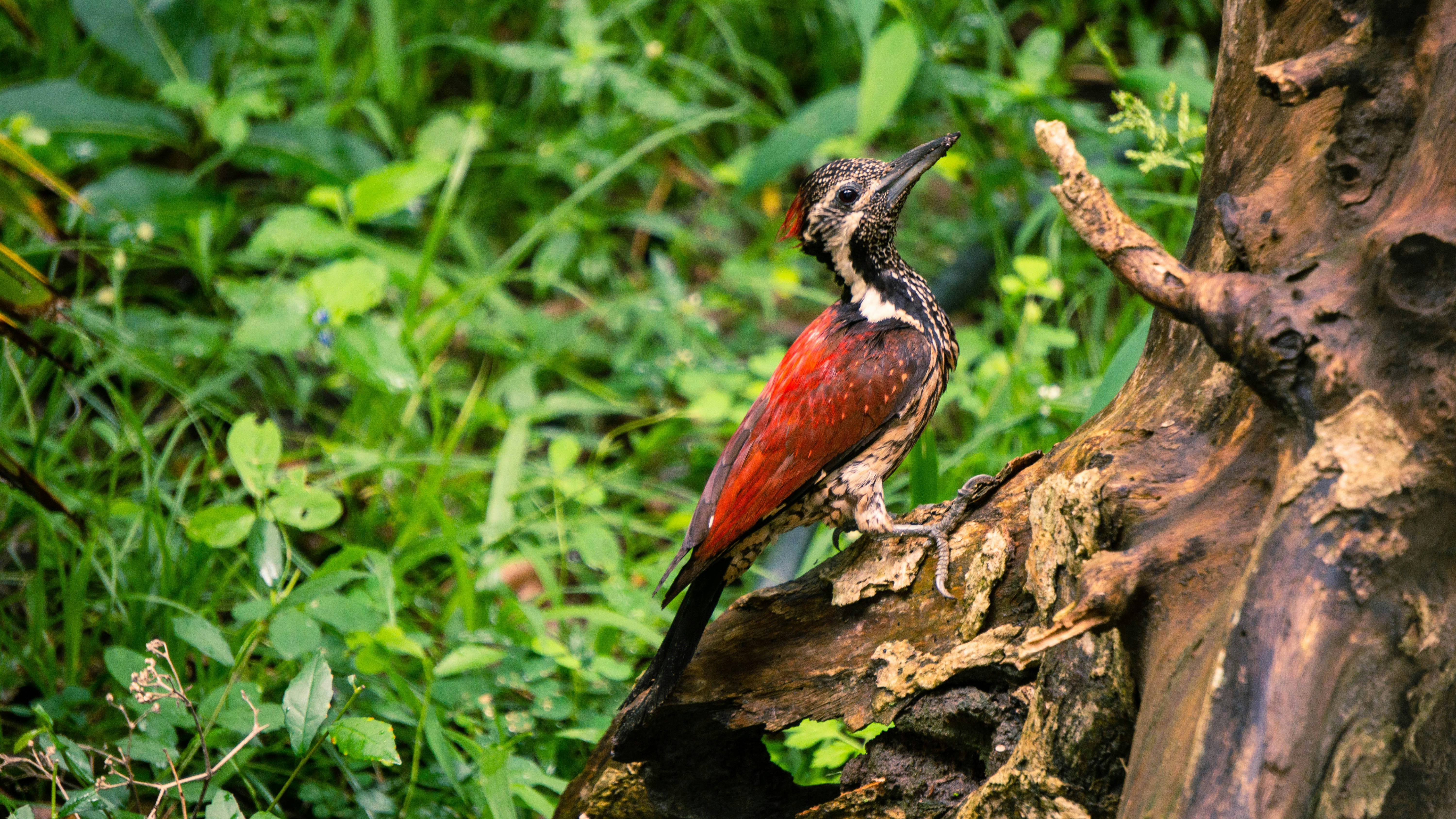 Photo by anainsomnia