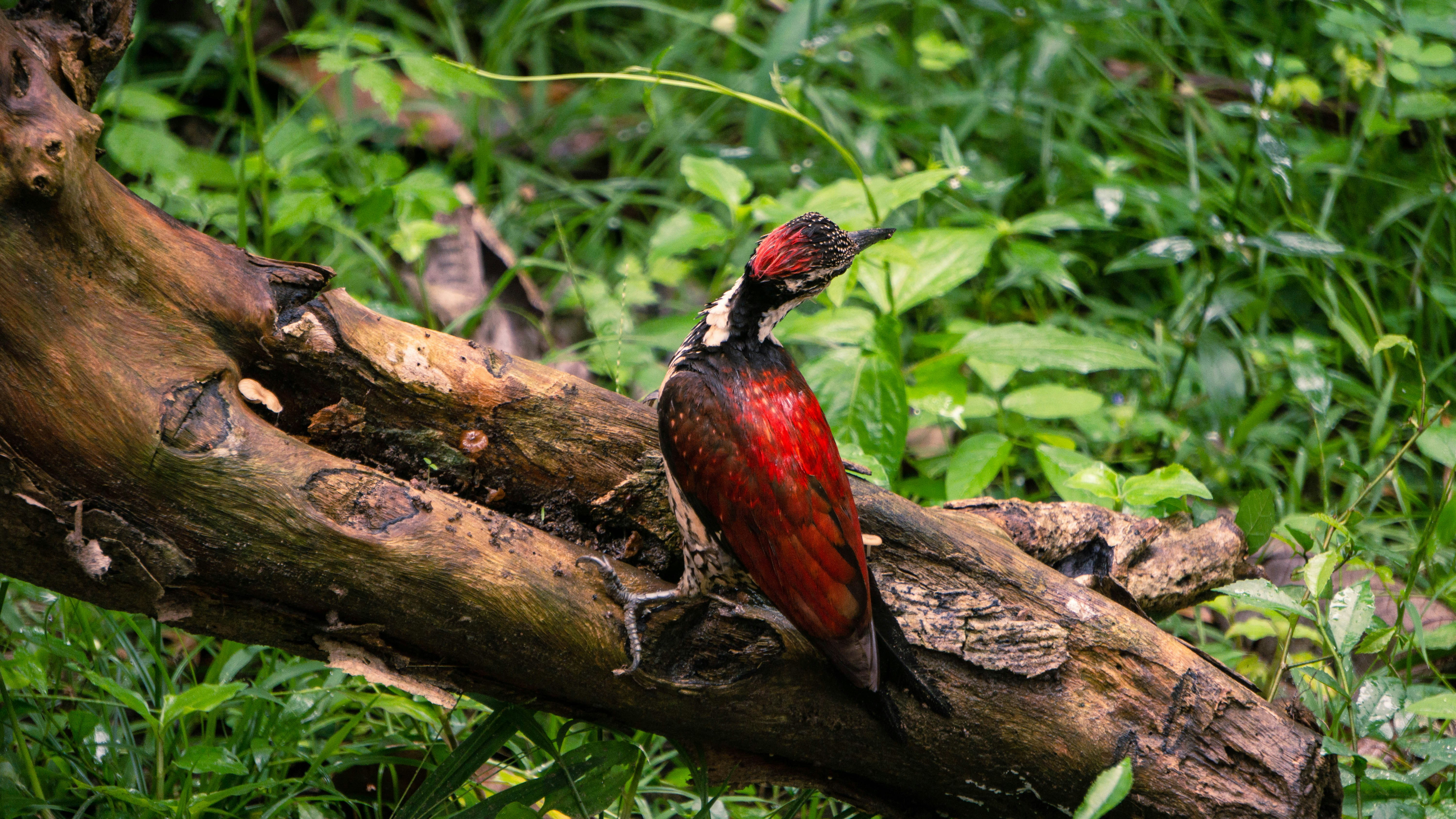 Photo by anainsomnia