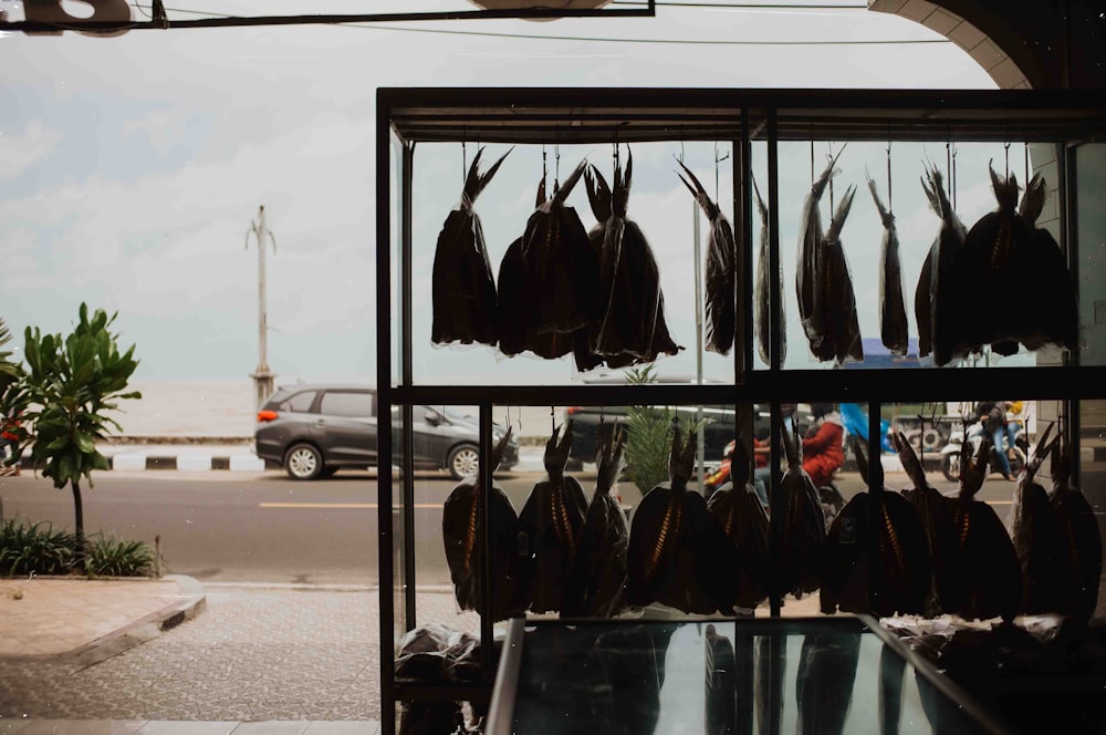 a bunch of birds are hanging in a window