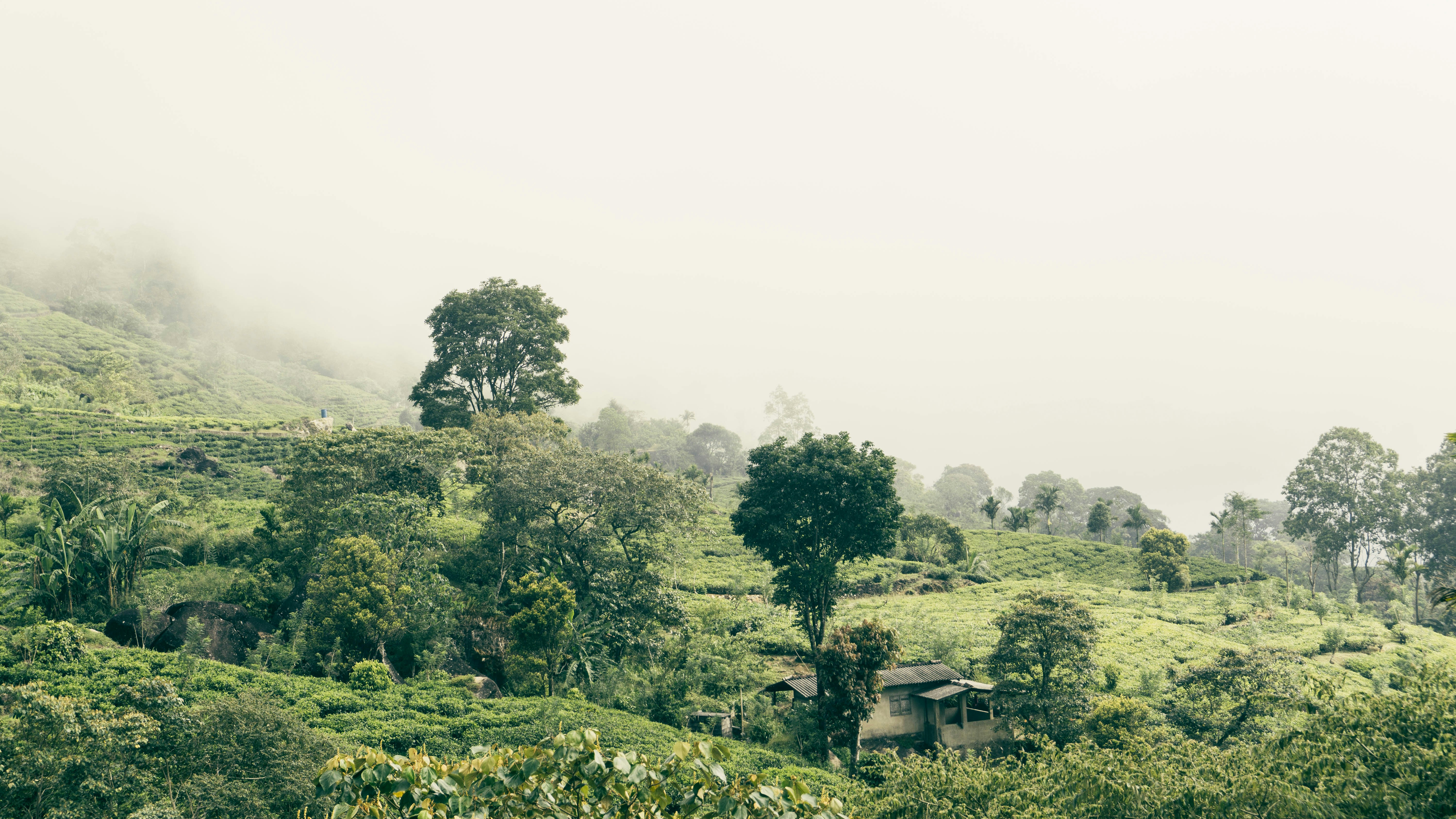 Photo by anainsomnia