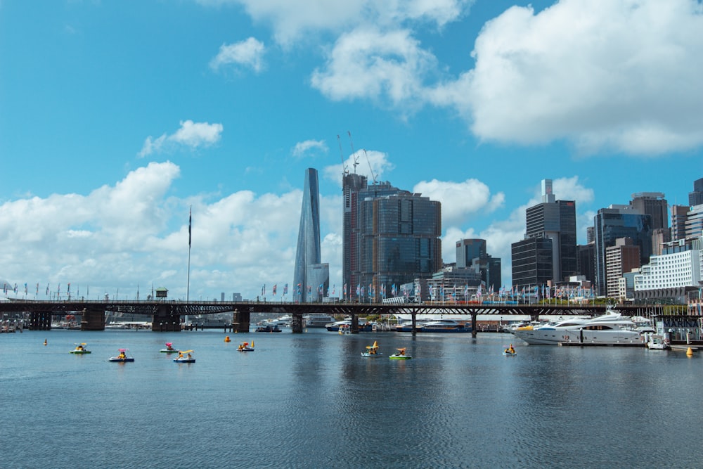 a body of water with a city in the background