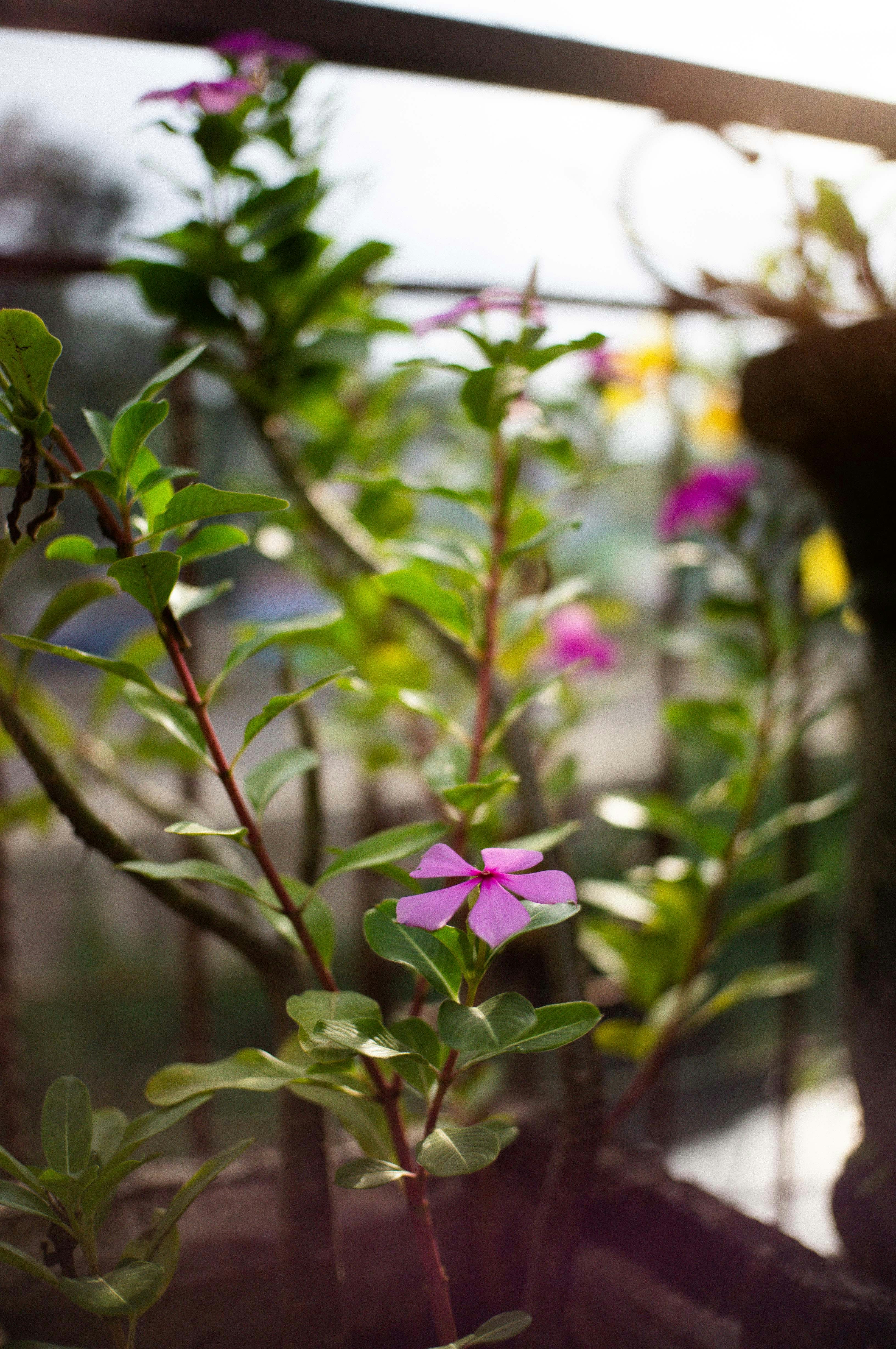 Photo by davidkristianto