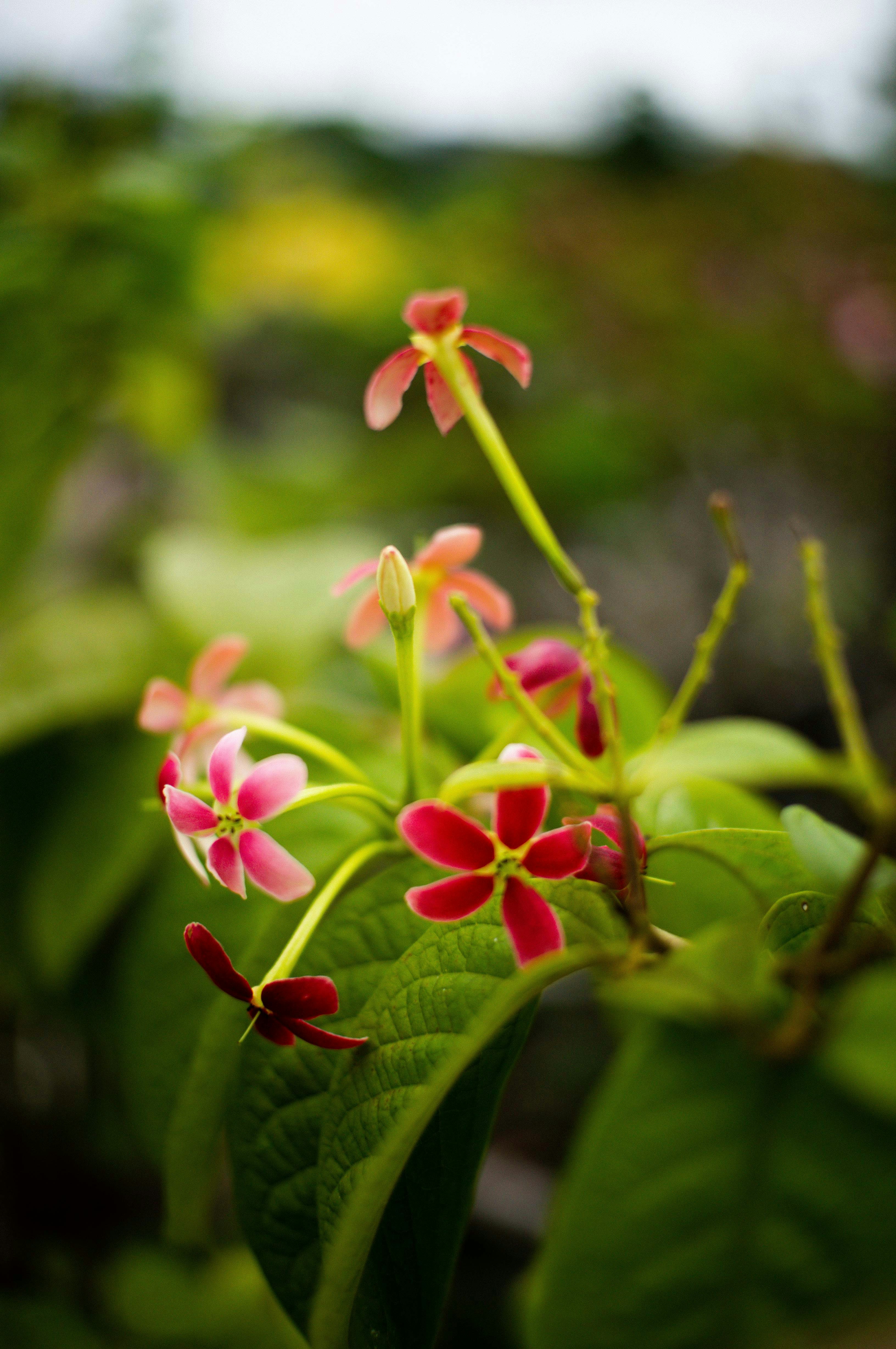 Photo by davidkristianto