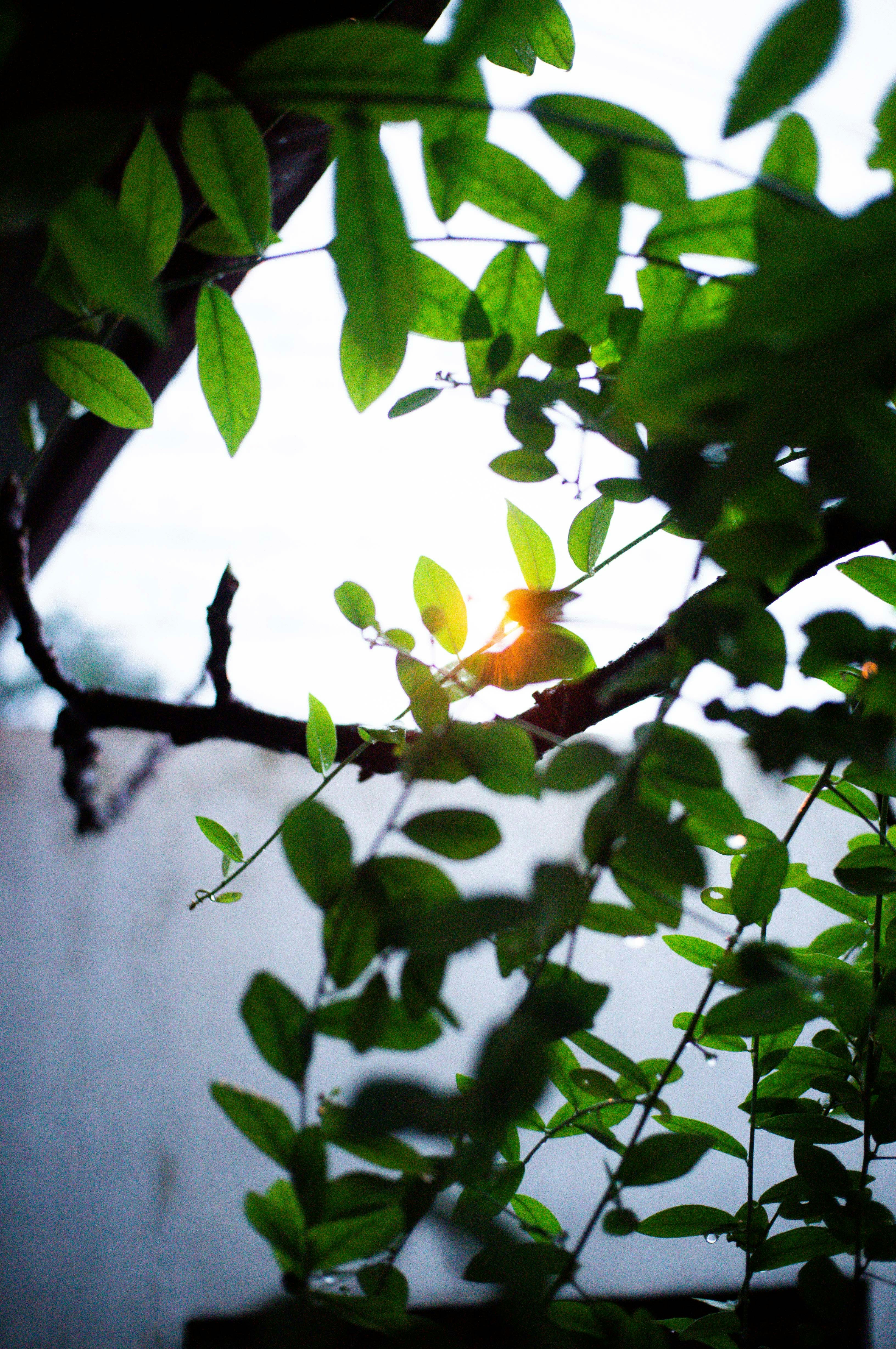 Photo by davidkristianto