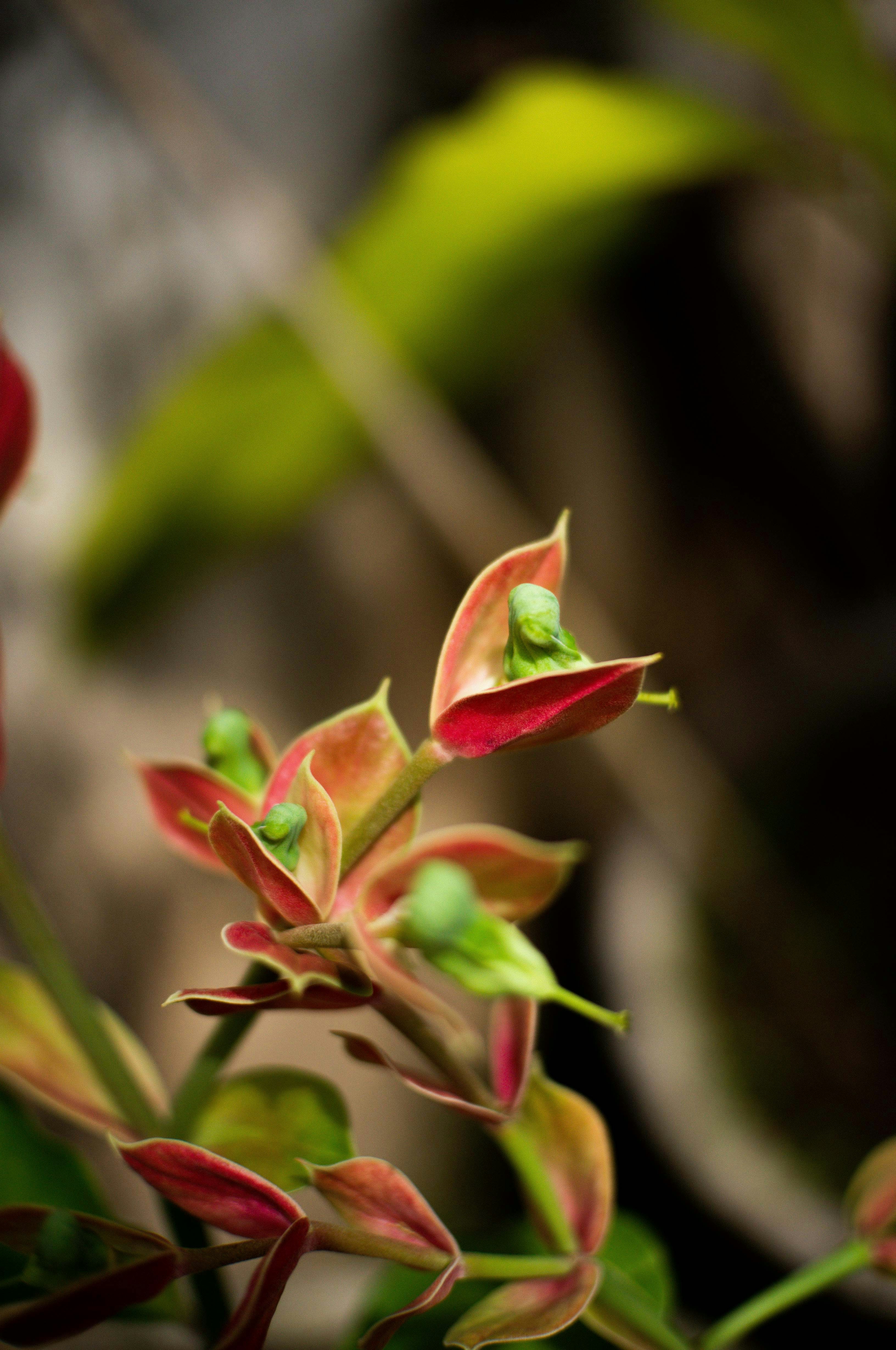 Photo by davidkristianto