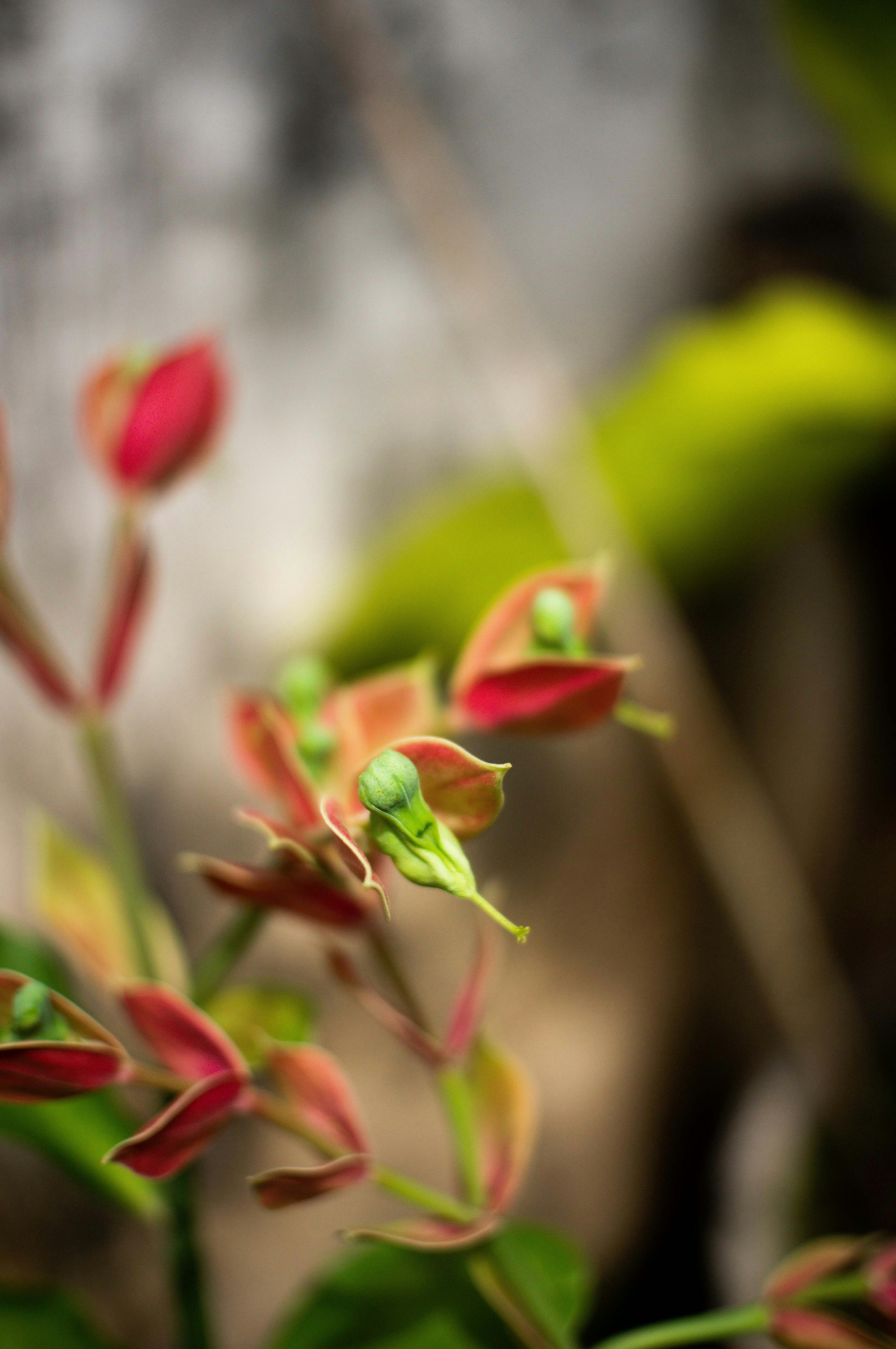 Photo by davidkristianto