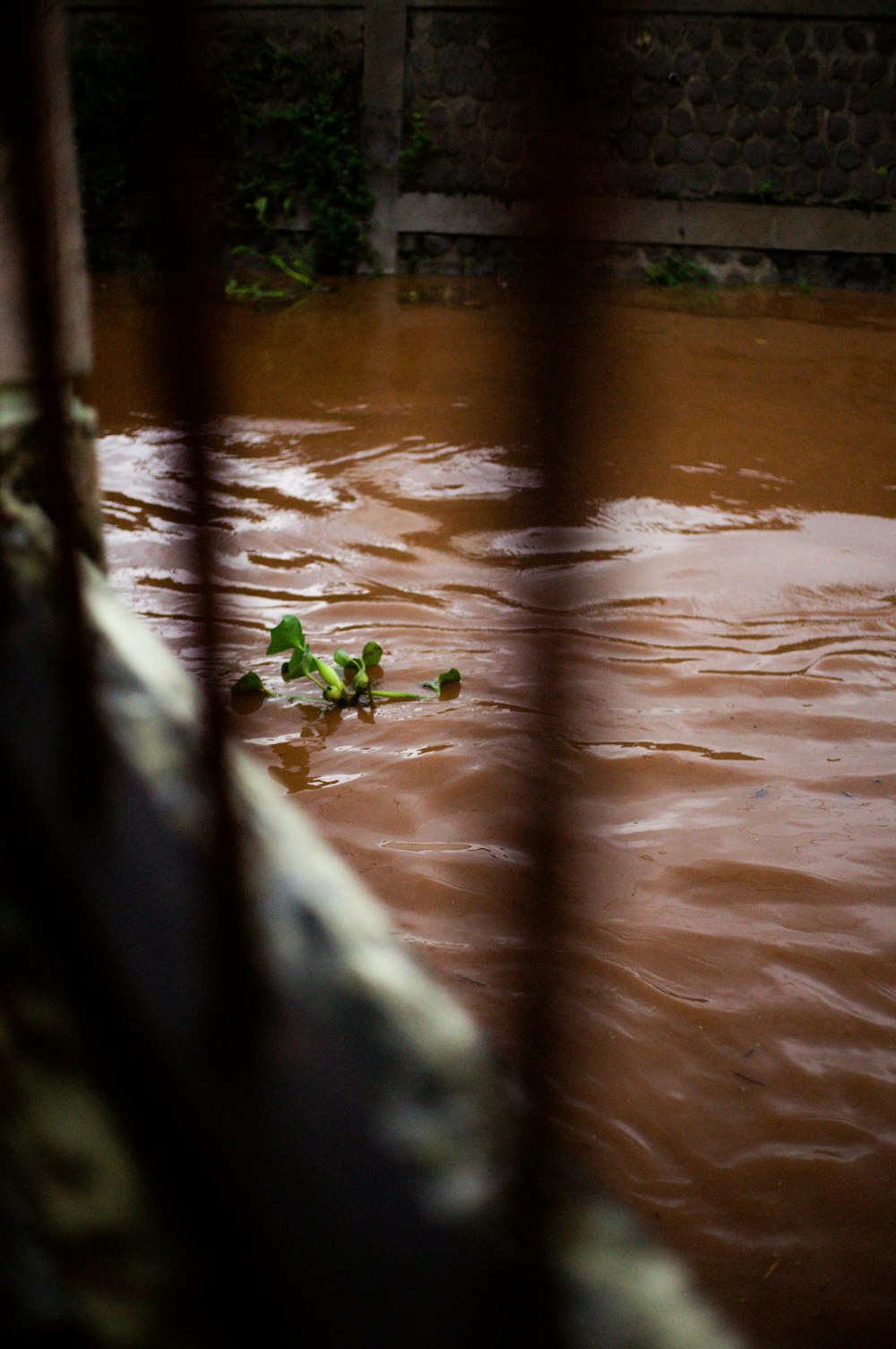 a flooded area with water and a fence