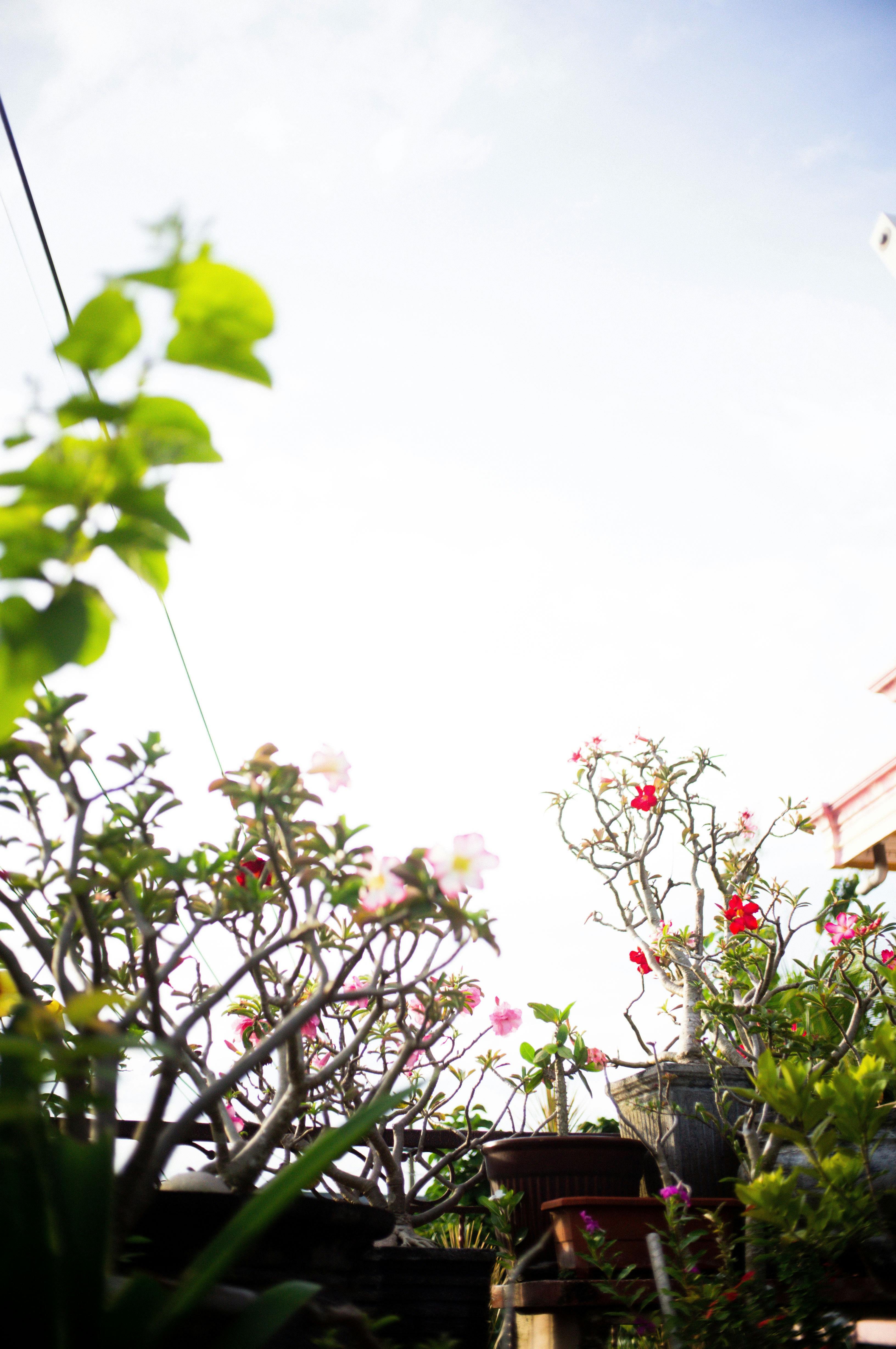 Photo by davidkristianto