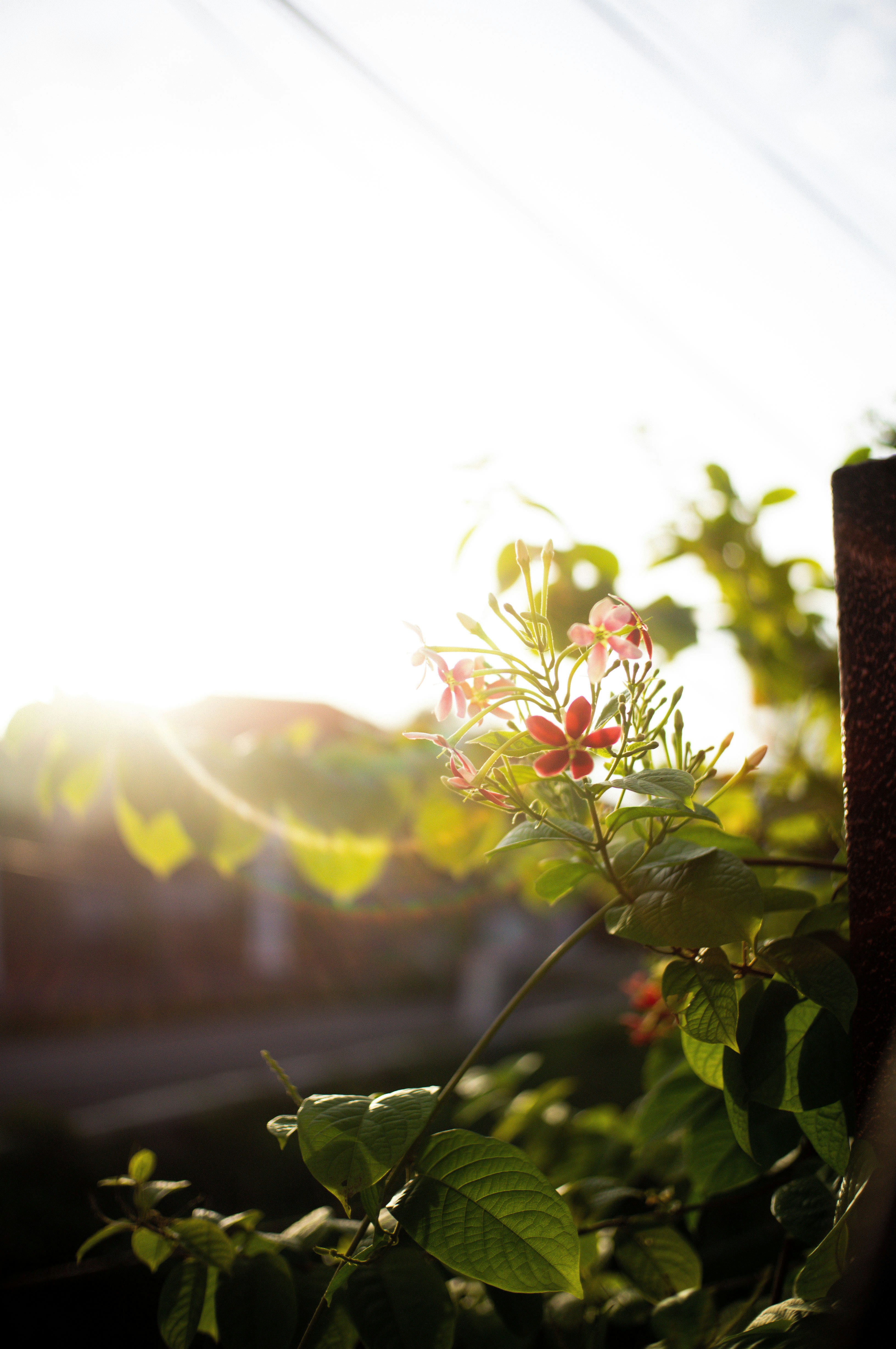 Photo by davidkristianto