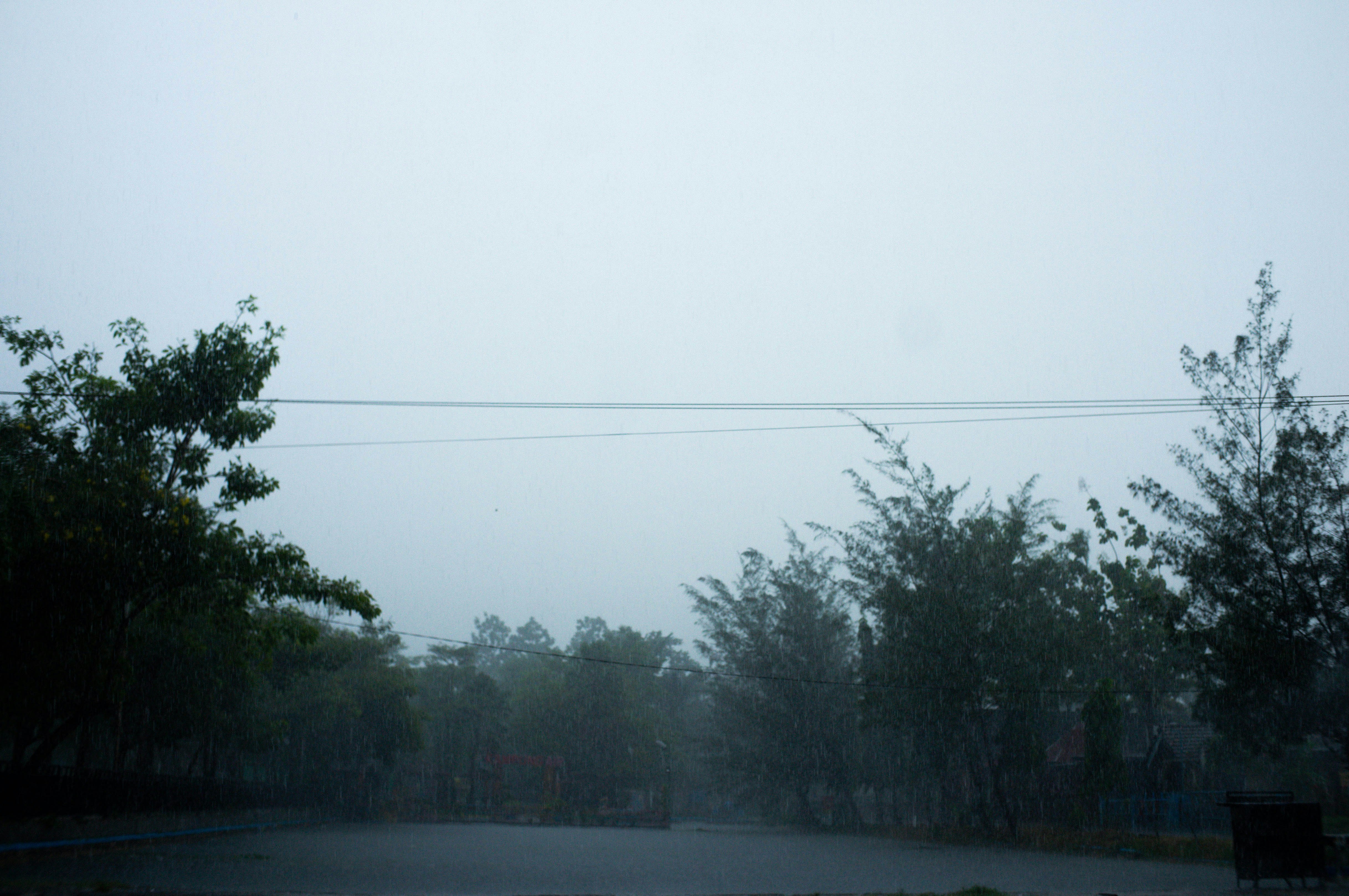 Photo by davidkristianto