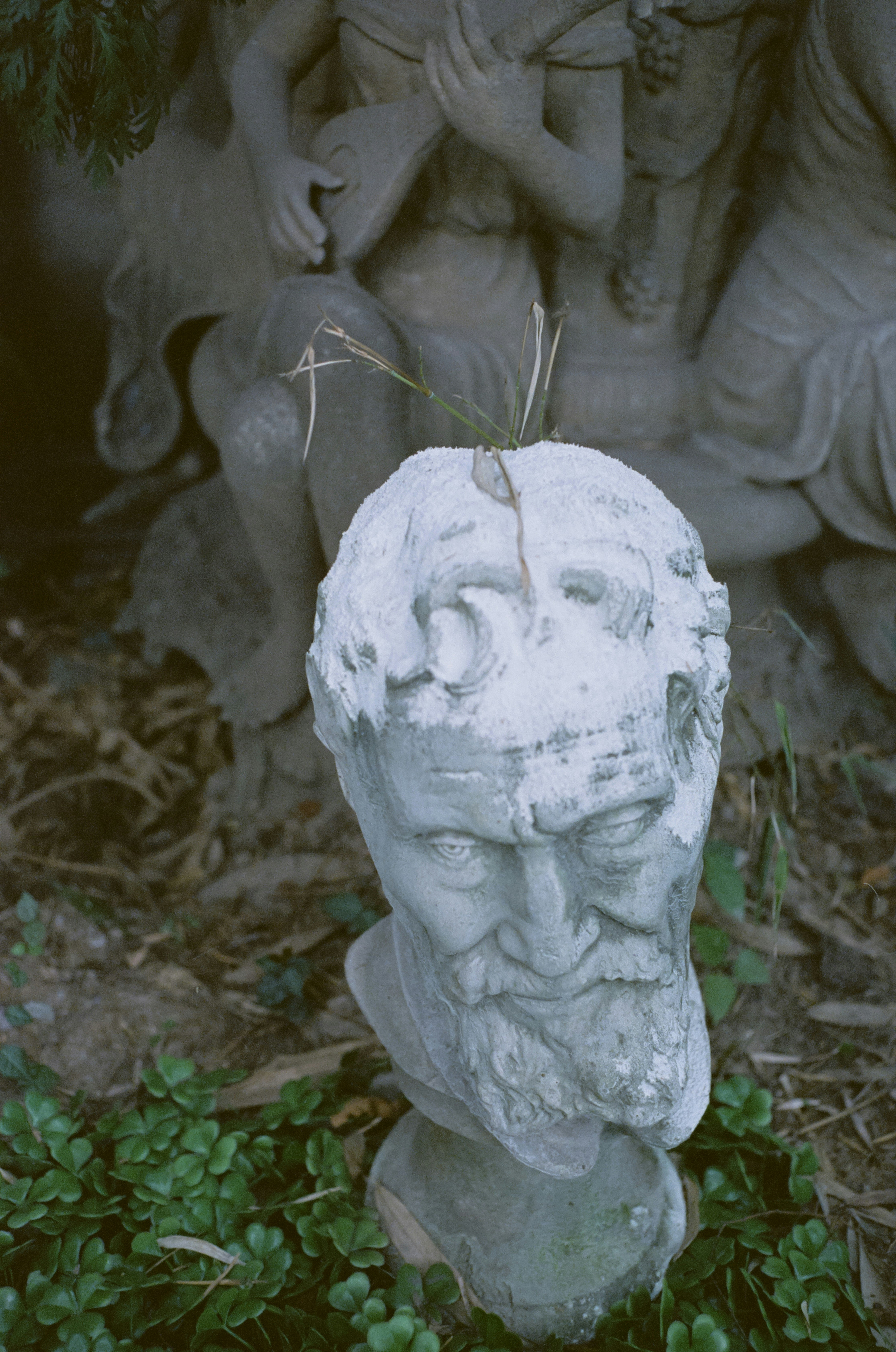 Photo by geraltyichen