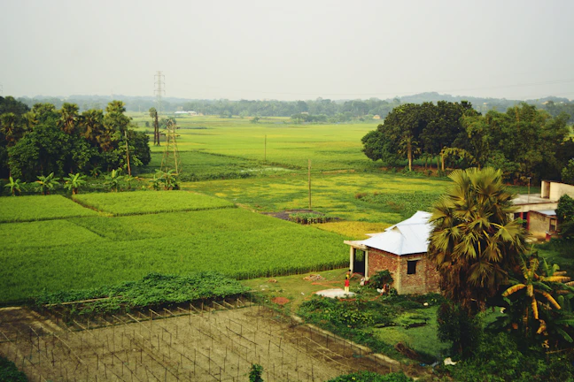 8-Day Luxury Travel Itinerary for Bangladesh