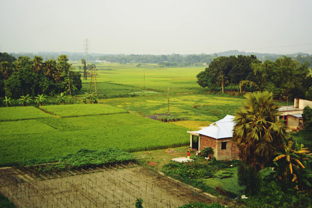 Bangladés