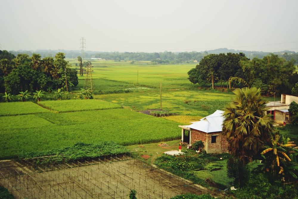 a lush green field with a house in the middle