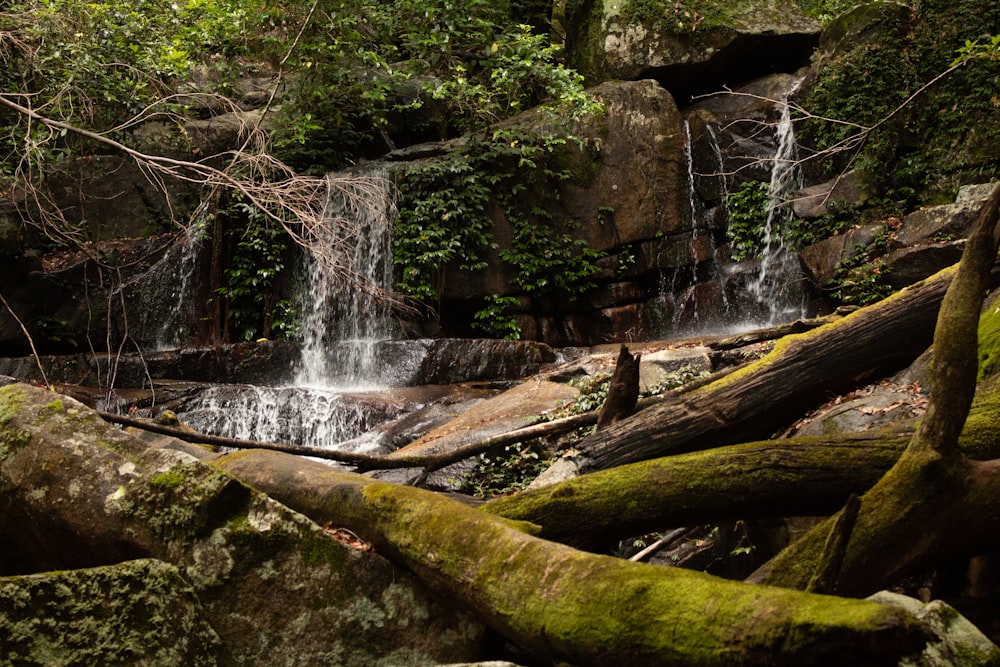 a small waterfall in the middle of a forest