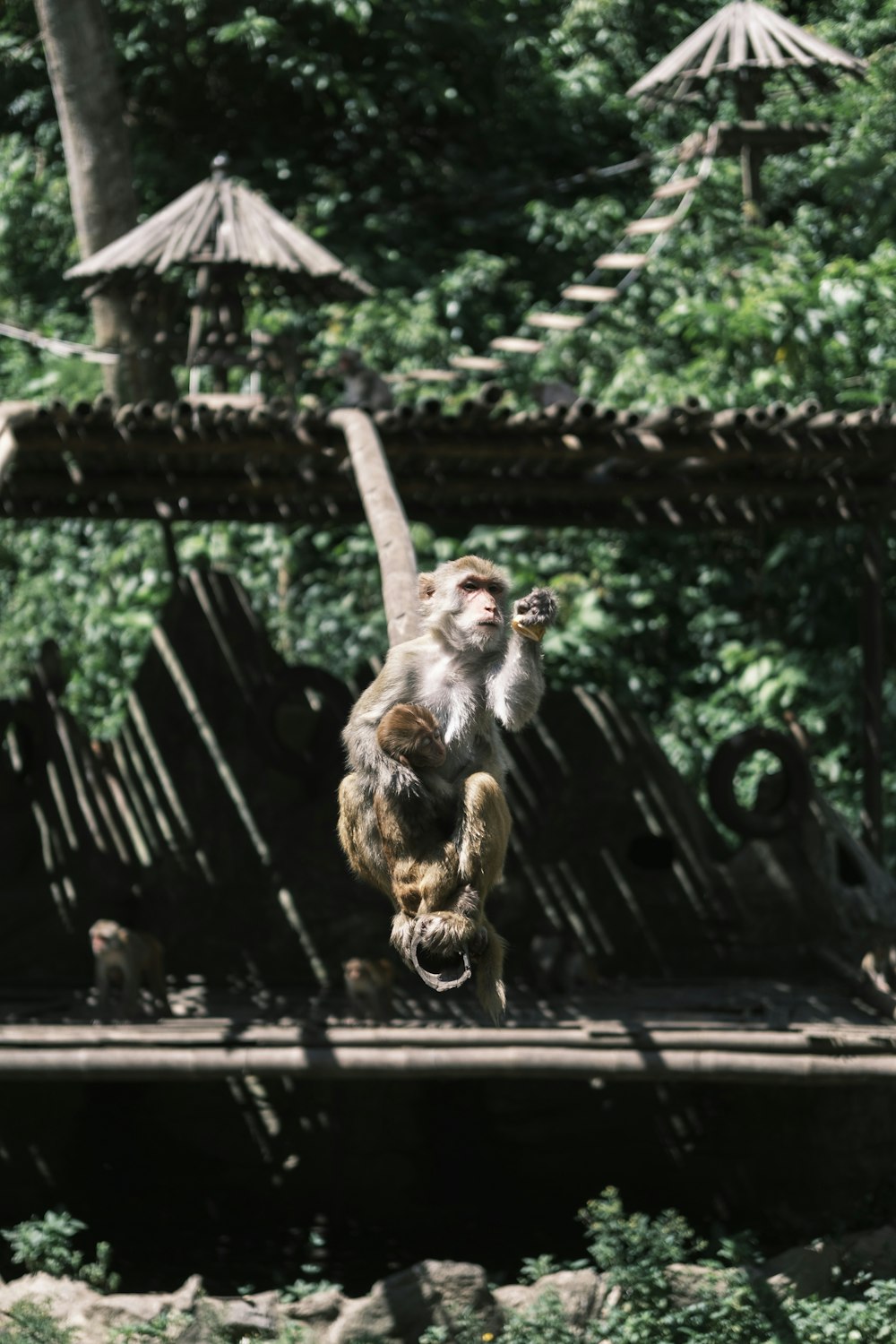 a monkey jumping in the air on a wooden platform